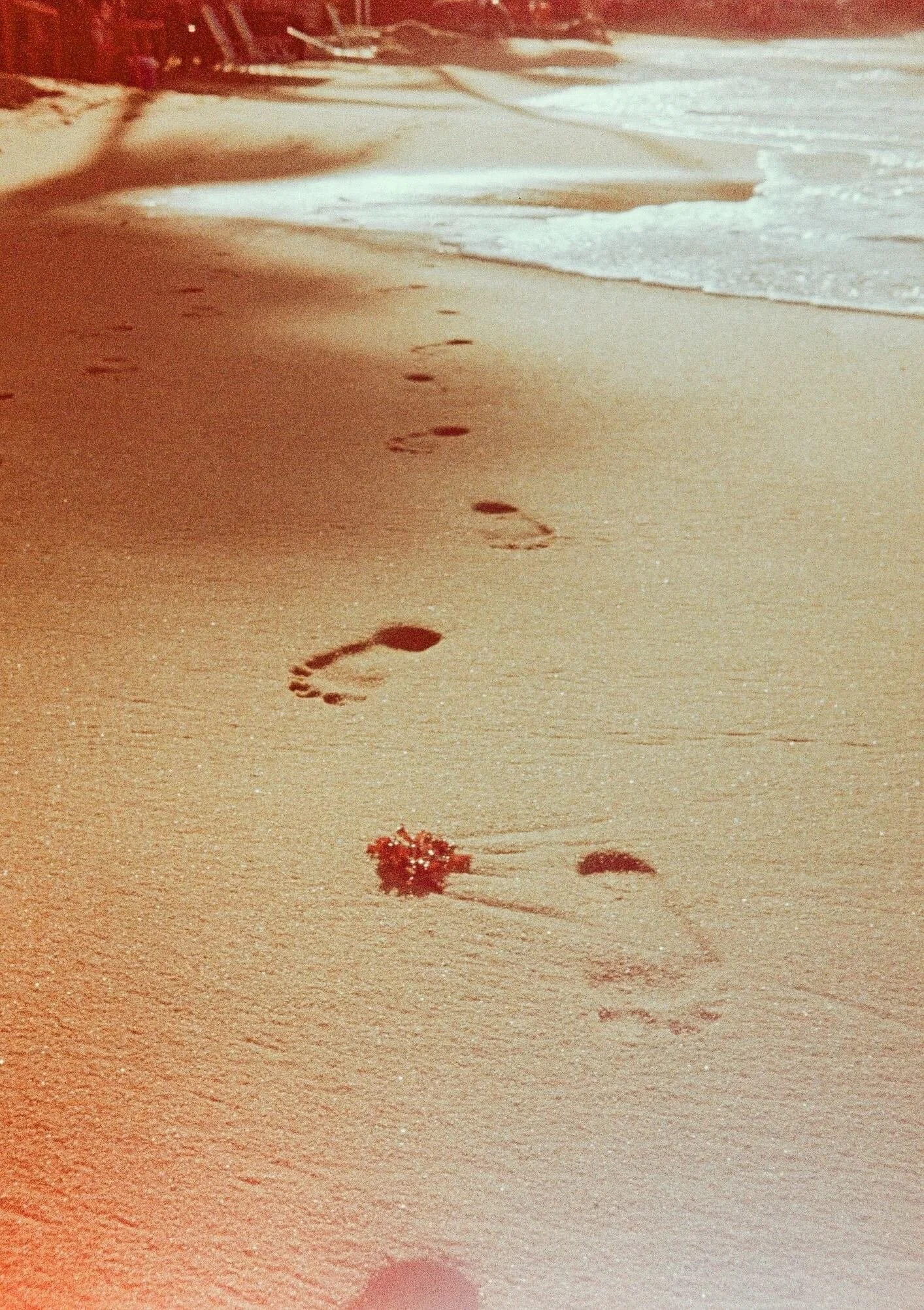 Footprints in the sand along a beach, with waves touching the shore and plants or debris near the water's edge.