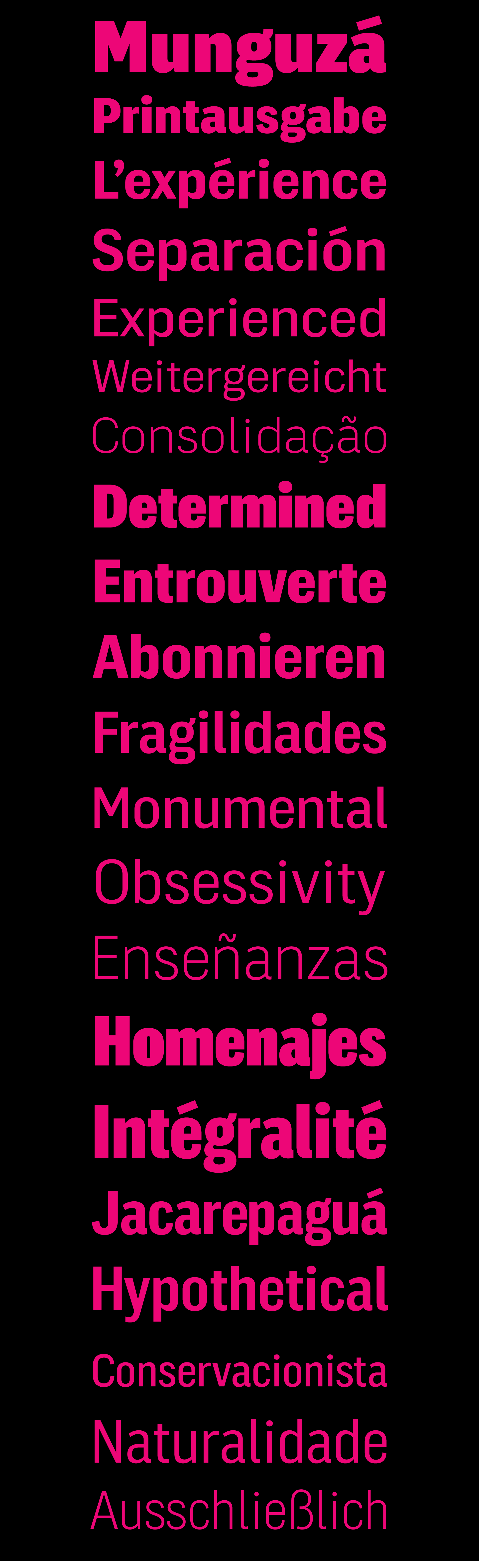 240923.DorivalUI.Specimens11.png