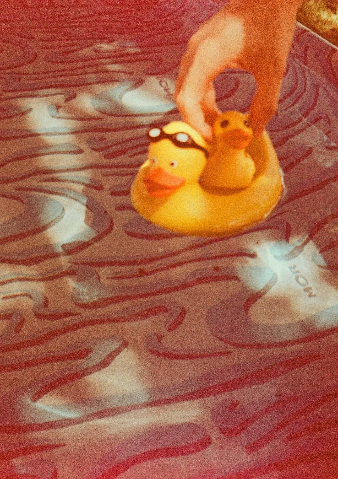 A person is holding a rubber duck with a peacock pattern on its head in front of a patterned bedding.