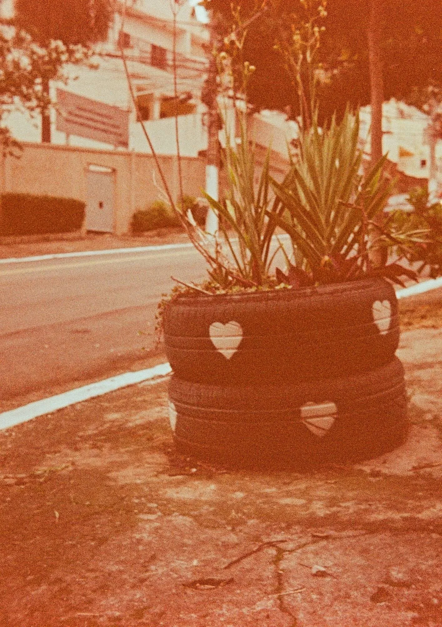 A large black planter with heart-shaped cutouts contains a green plant, placed on a cracked and uneven reddish-brown pathway in an outdoor area with suburban houses and trees in the background.