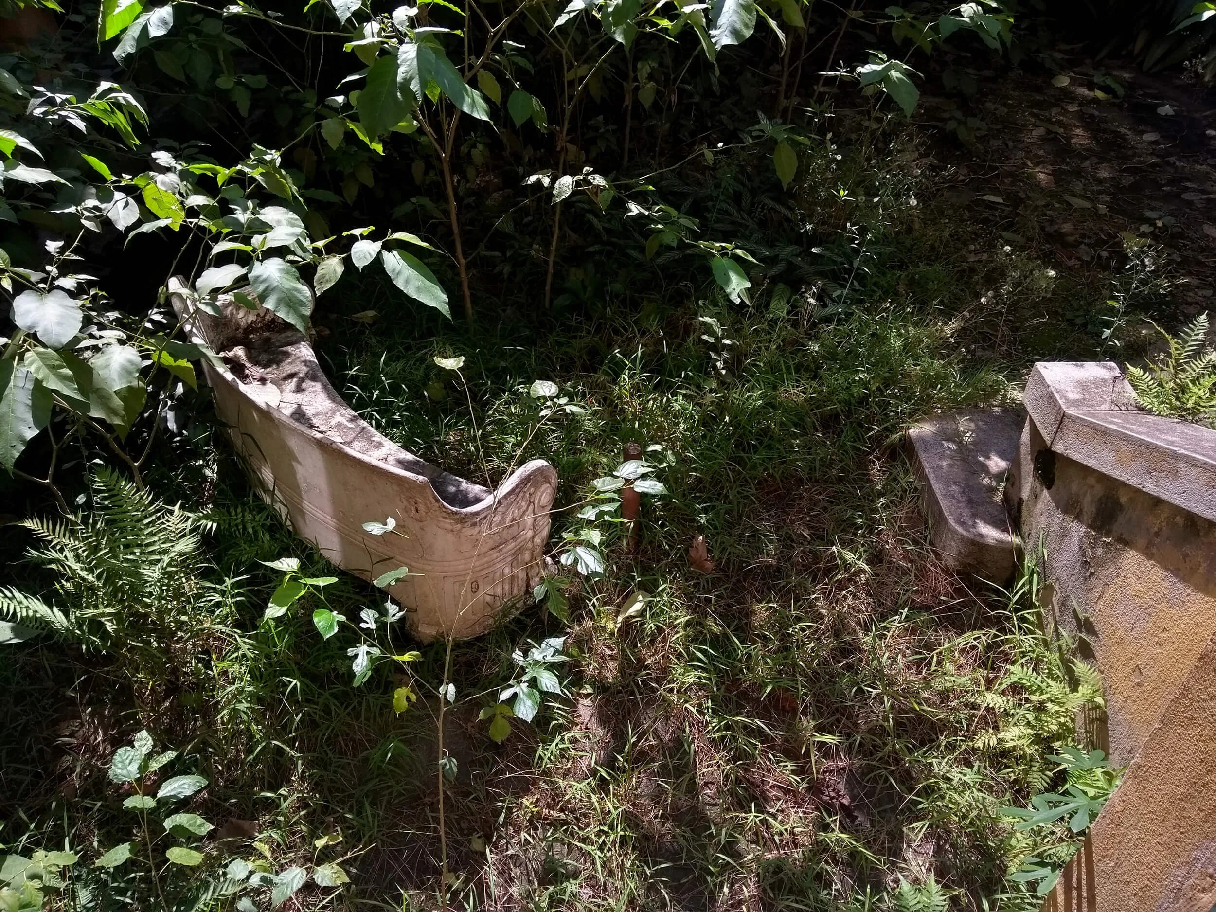Overgrown garden area with foliage, grass, and broken concrete blocks scattered on the ground.