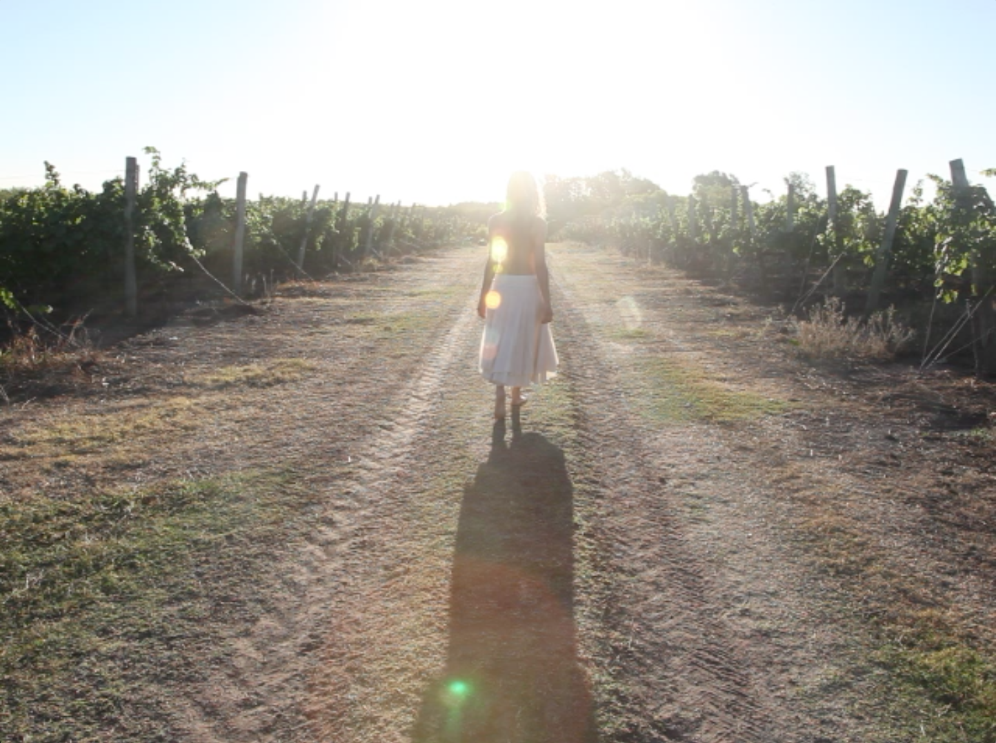 Still from Walking Into The Vastness, 2011
