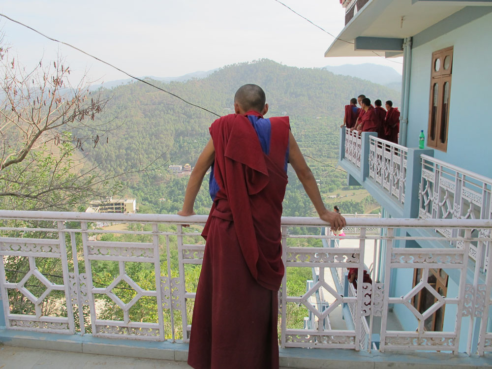 Dolanji, 2012 (Copy)