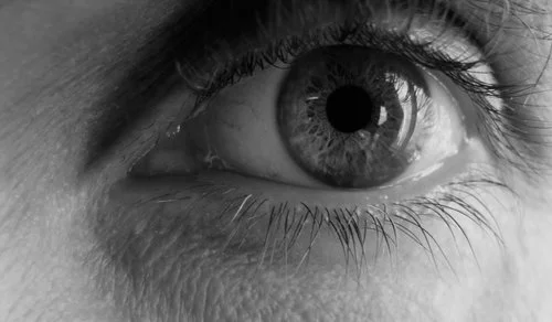 david_eye2014.jpg