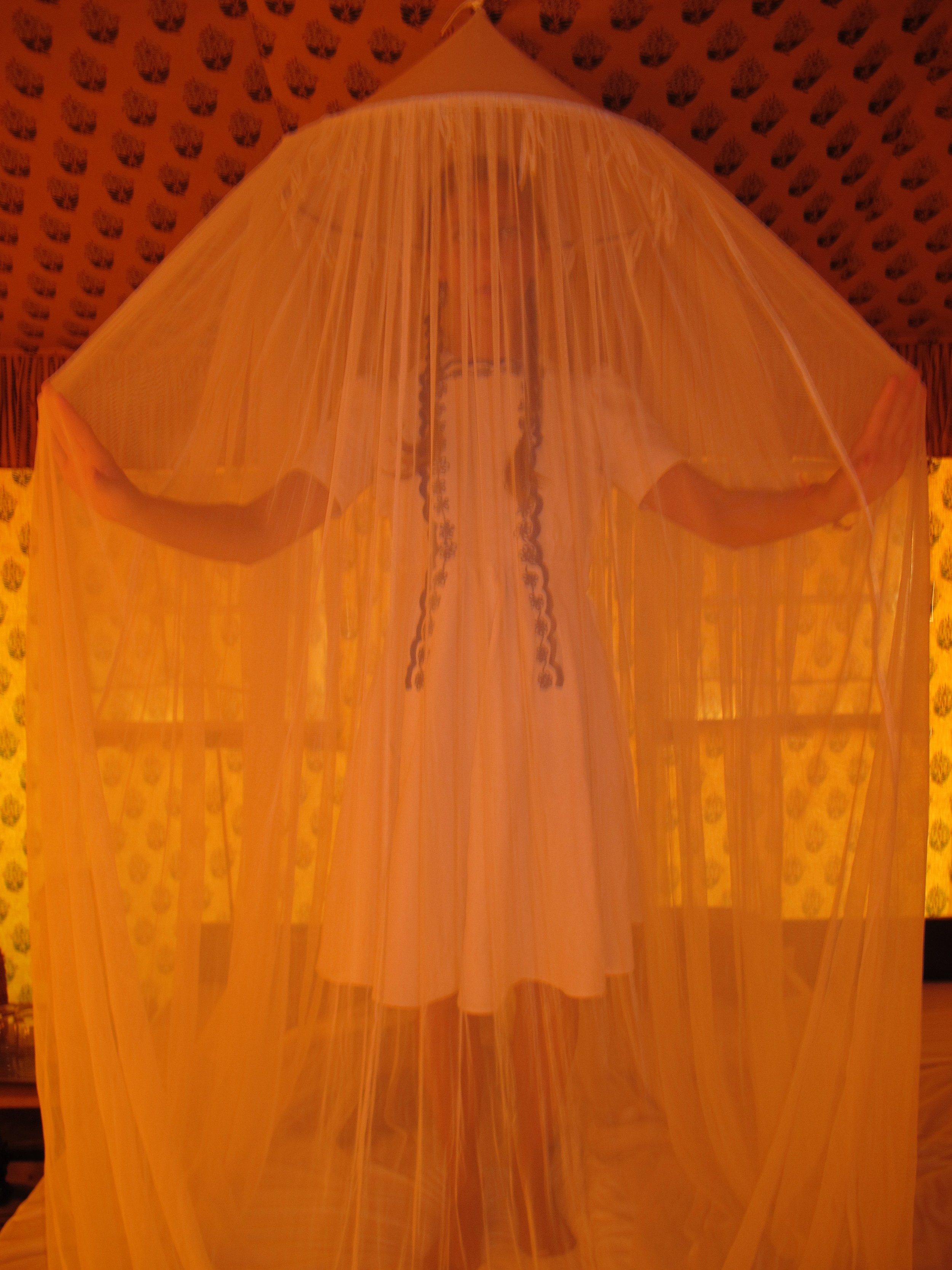 Emily as "Alice", Ranthanbore, India, 2012 (Copy)