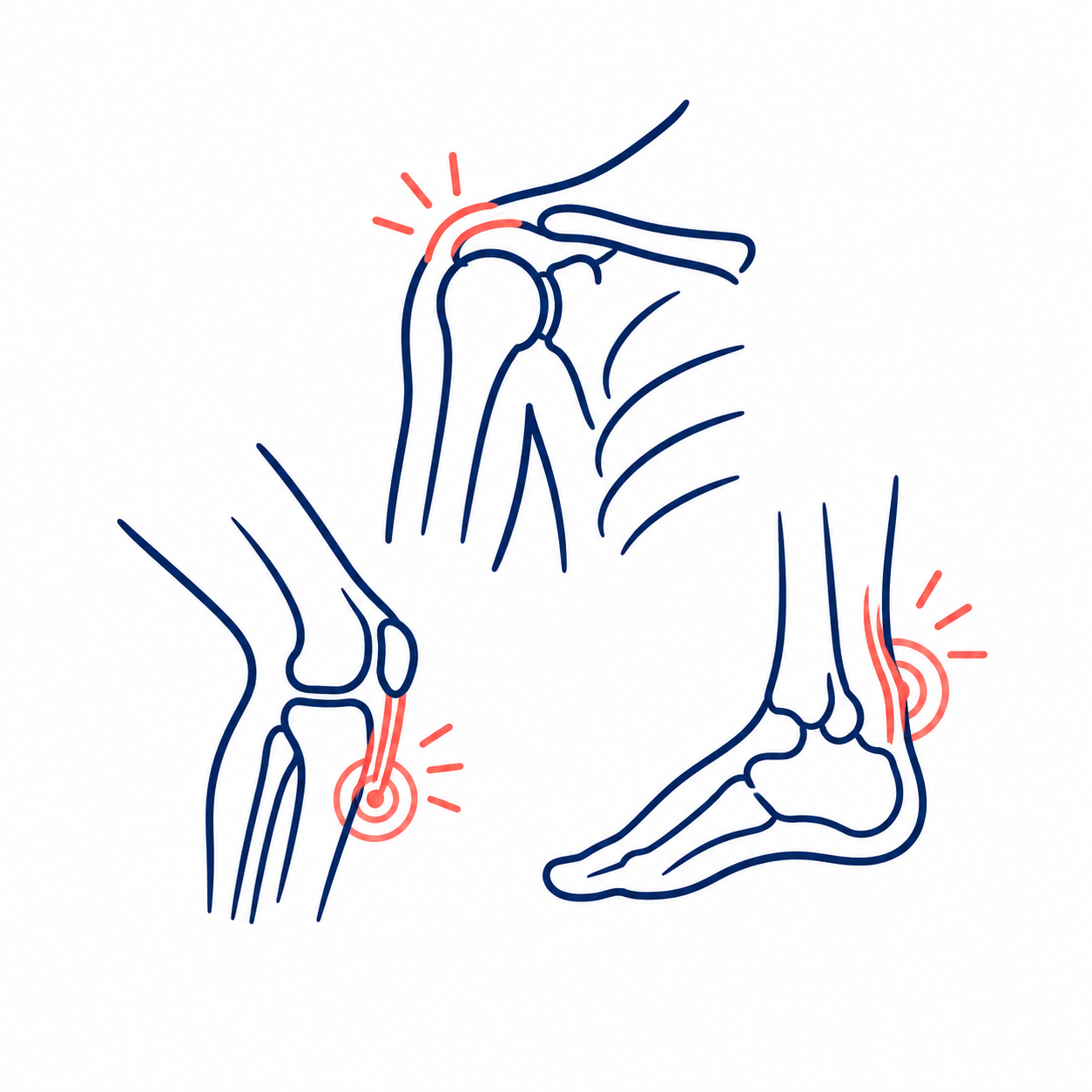 Line drawing of a knee and ankle with red highlights indicating pain or injury in the shoulder, knee, and ankle joints.