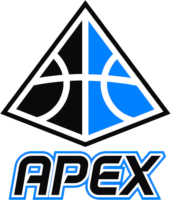 A black and blue pyramid-shaped logo with geometric lines and the word 'APEX' below it in bold, stylized font.