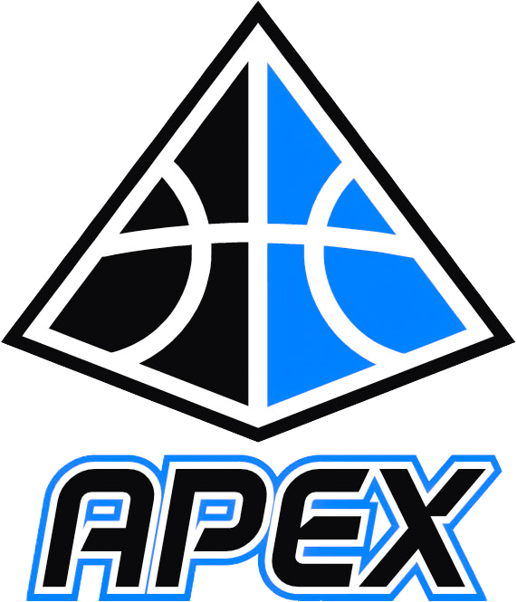 A logo with an abstract and geometric design in black, blue, and white, featuring the word 'APEX' in bold uppercase letters below the design.
