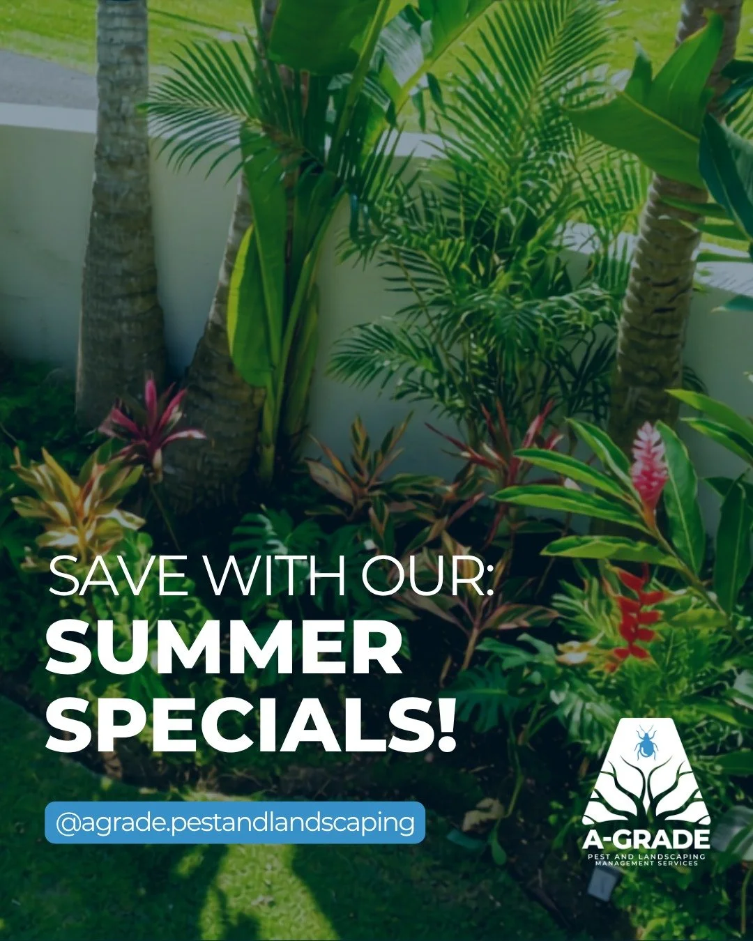 SAVE THIS SUMMER ☀️🇯🇲

- 10% off first time customers
- 10% bundled services
- Discounts for hurricane preparedness services

Book with us online at 🌐 www.agradejm.com

📧agrade.pestandlandscaping@gmail.com
📲 (876) 341-1523