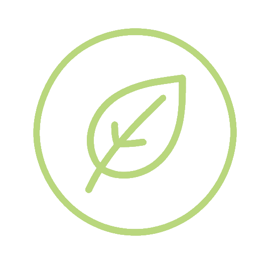 Green outline of a leaf inside a circle, symbolizing eco-friendliness or sustainability.