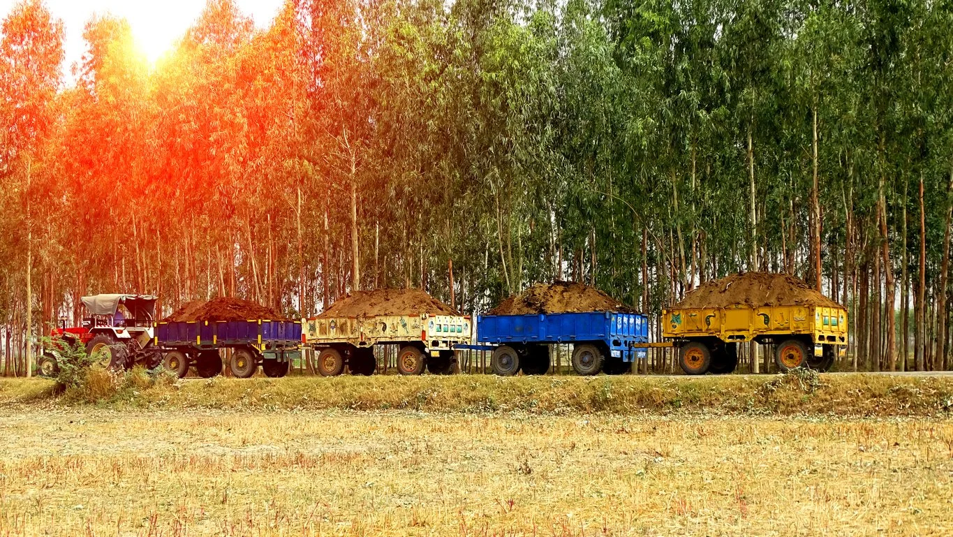 Waste, Cities and Energy Security: Reflections on Sustainable Infrastructure in India
