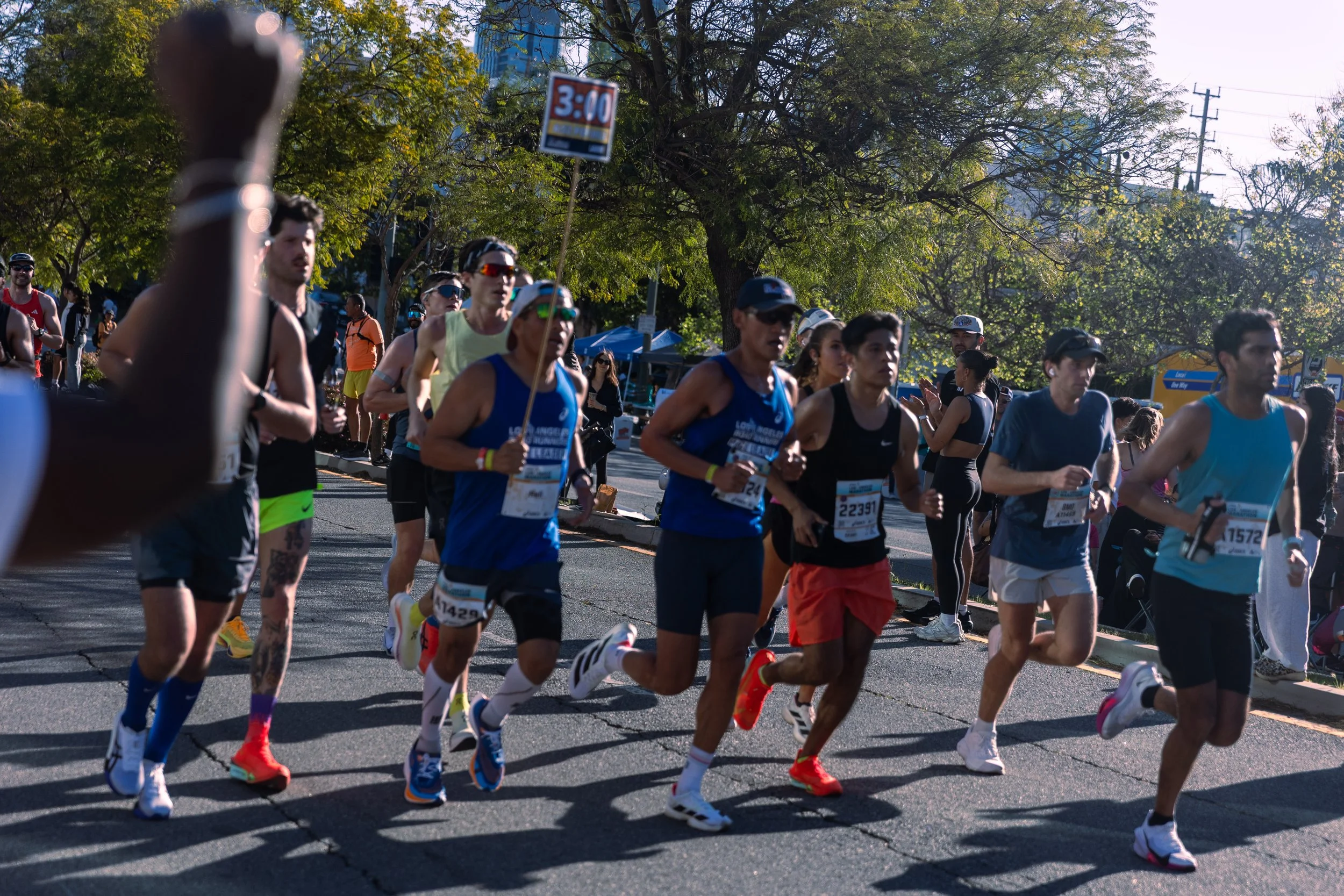 2025 LA Marathon 