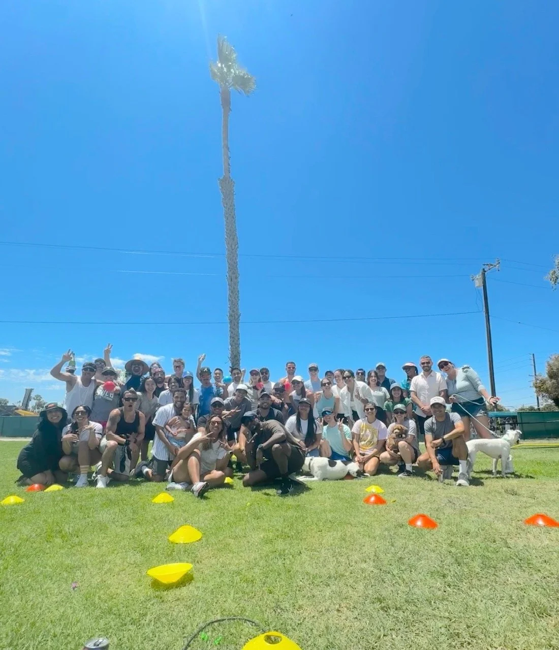 LBRC Summer Dodge Ball 2024