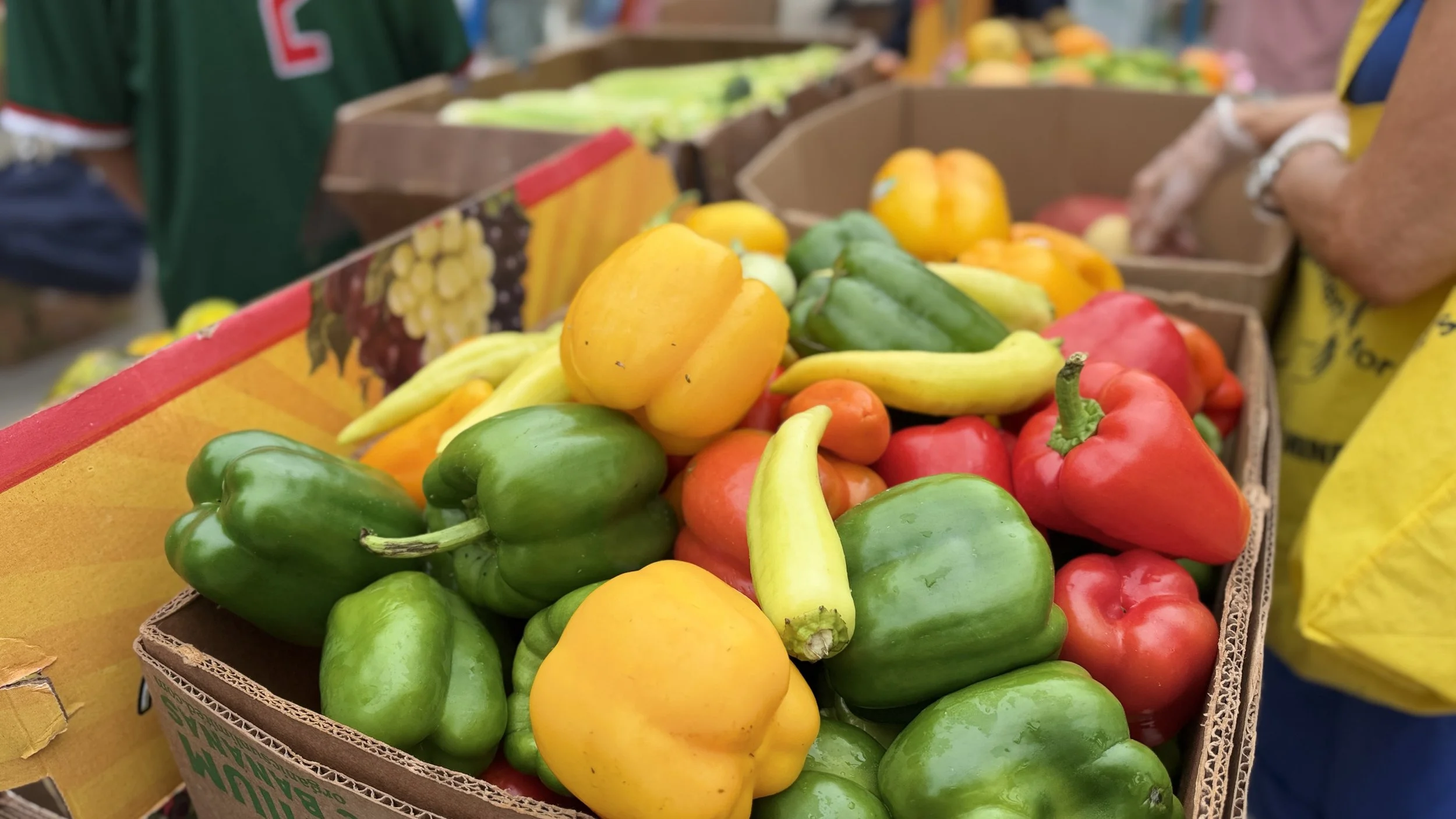 Colorful peppers in a box