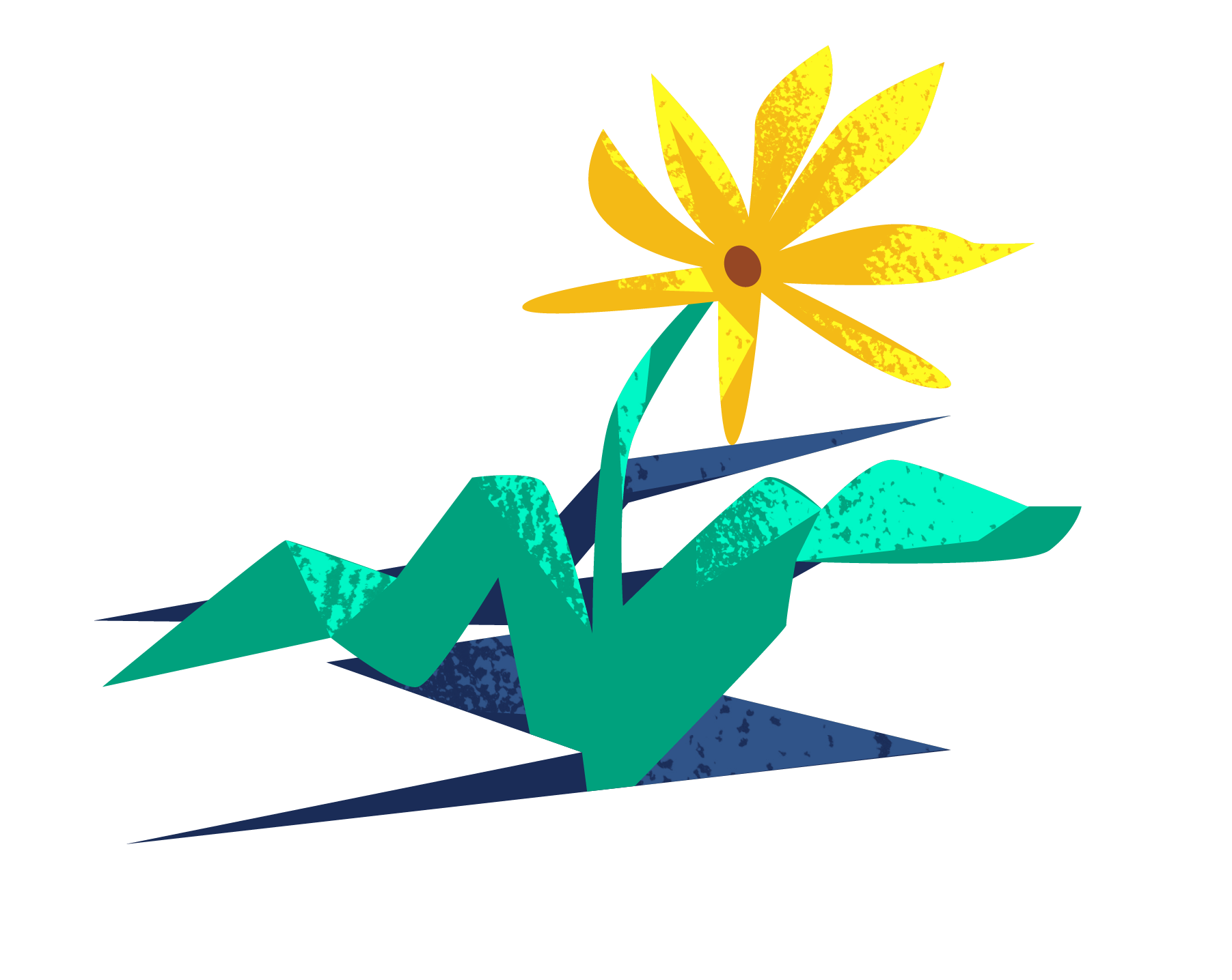 flower-crack@2x.png