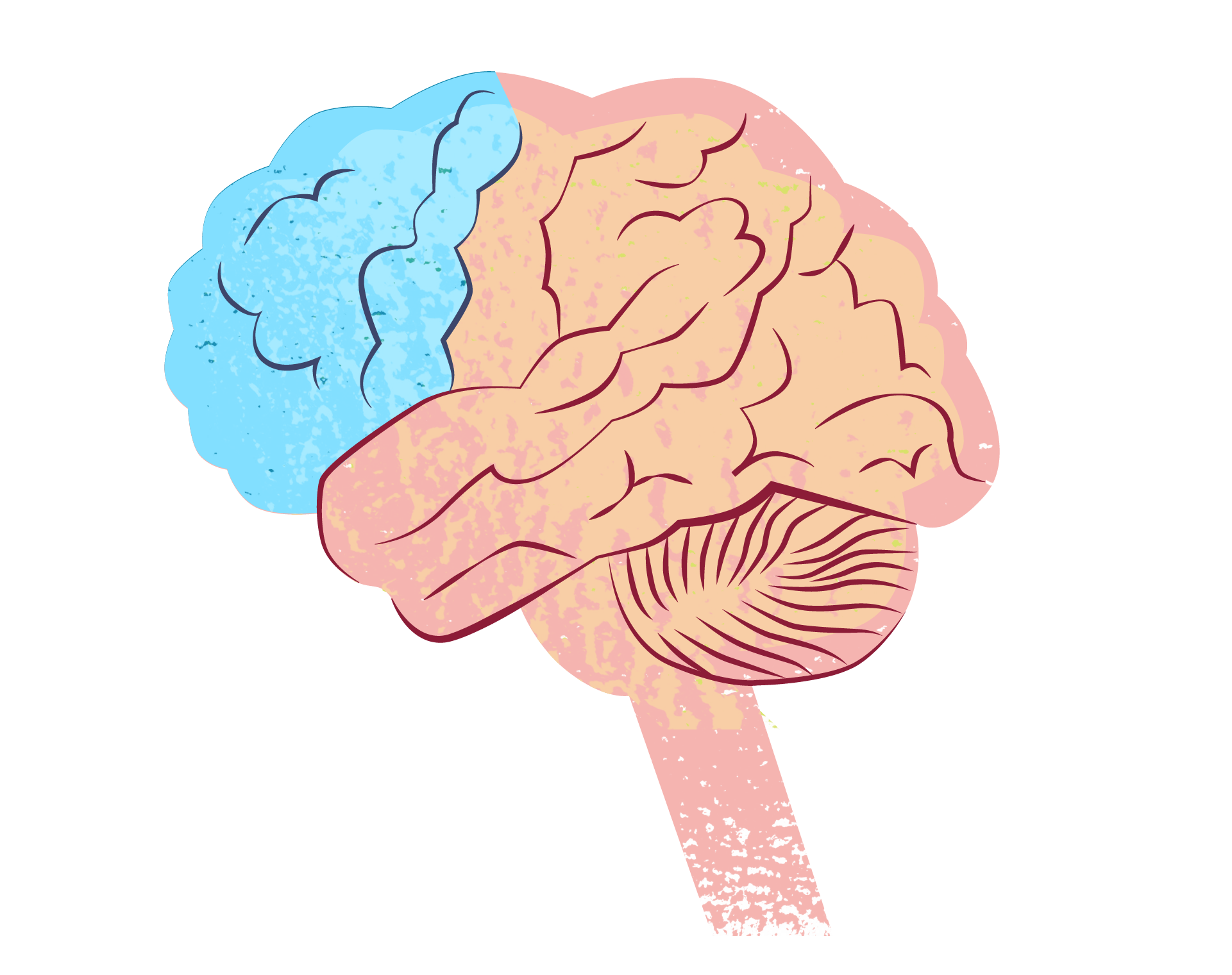 prefrontal-cortex@2x.png