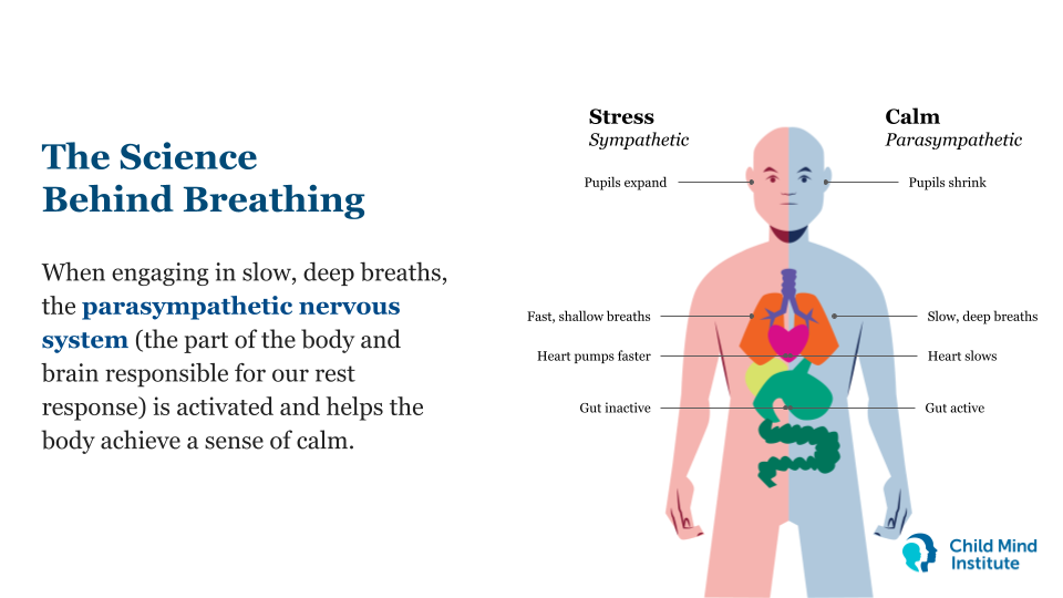 V1 Stress Management_ Elementary (3).png