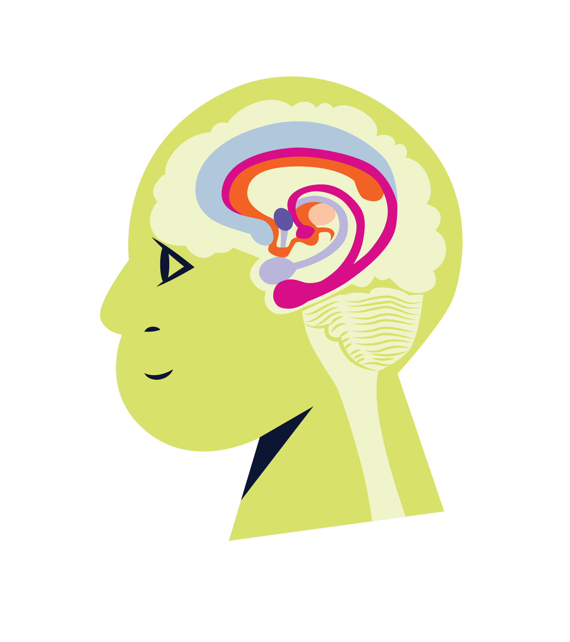 limbic-system@2x.png