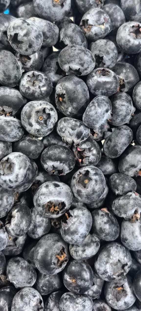 Blueberry
