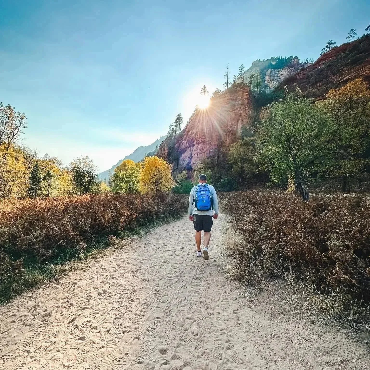 You Have Points… Now What? How to Actually Start Using Your Points &amp; Miles