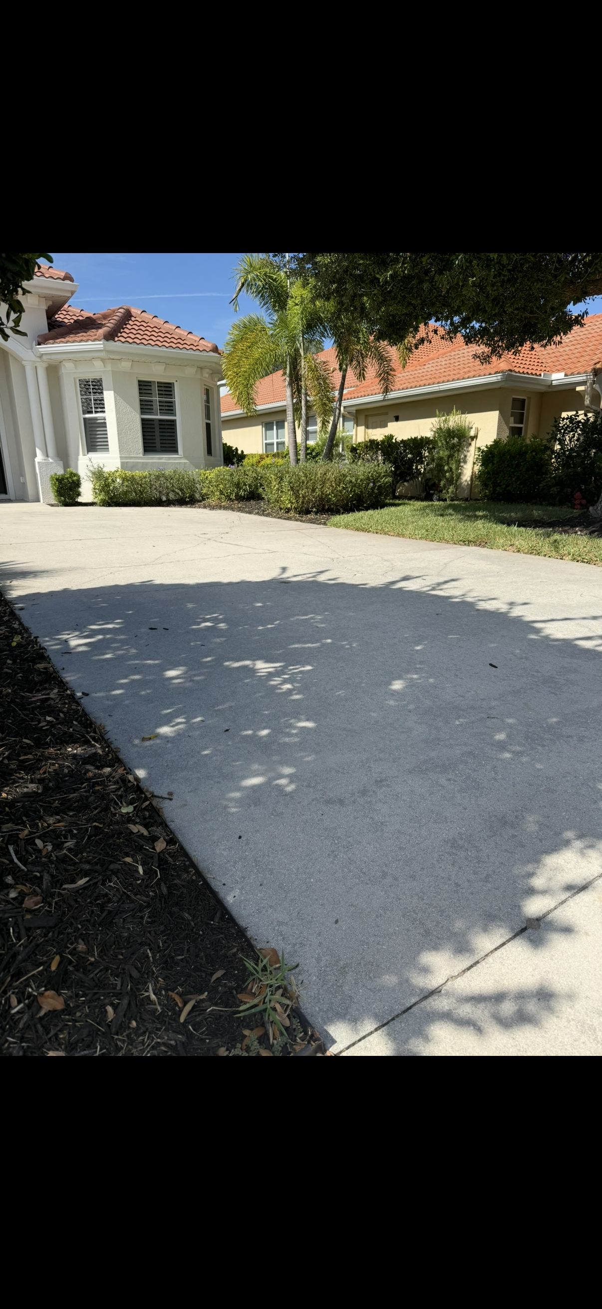 Steve antes driveway.PNG