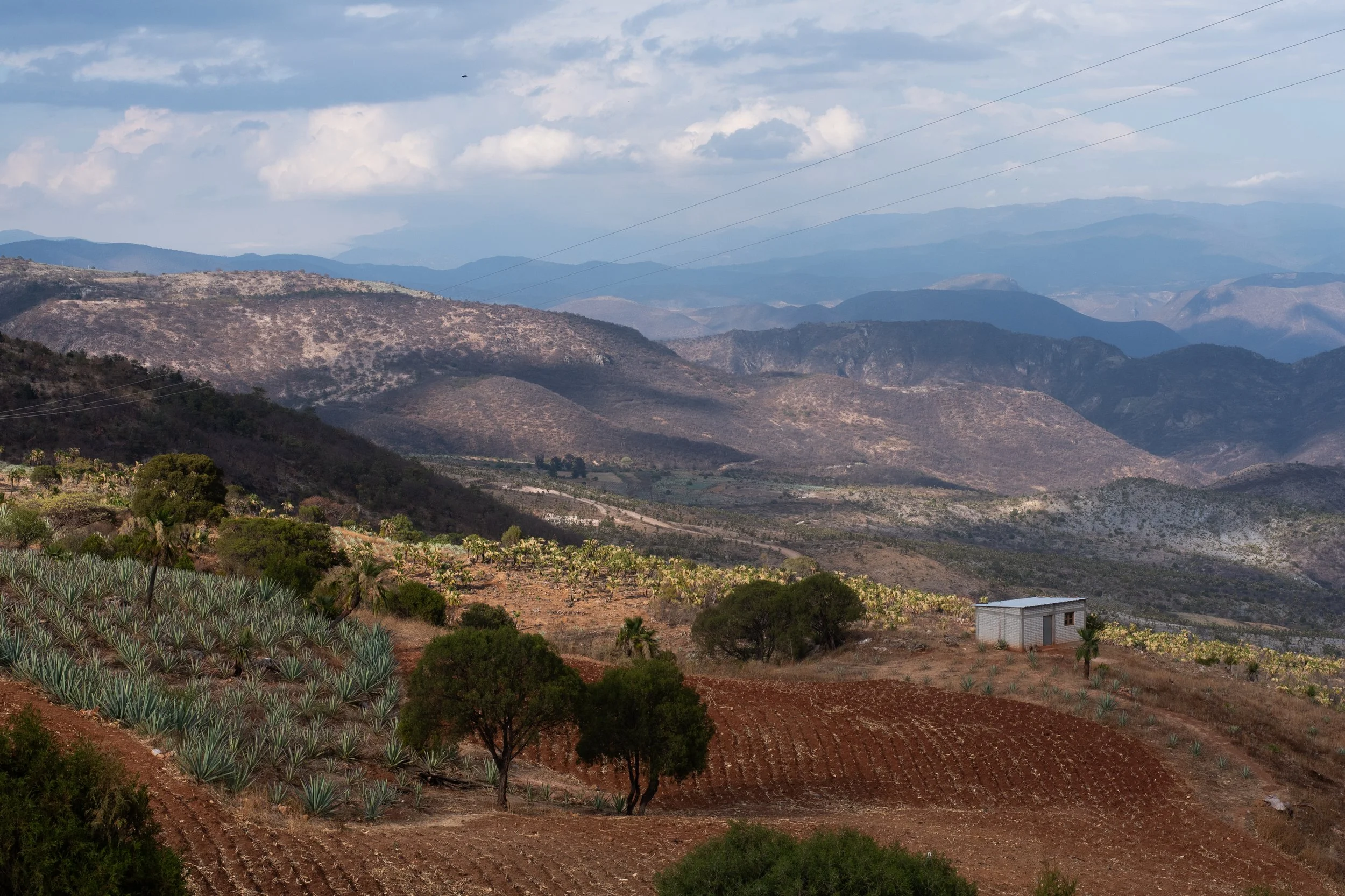 Oaxaca-30.jpg