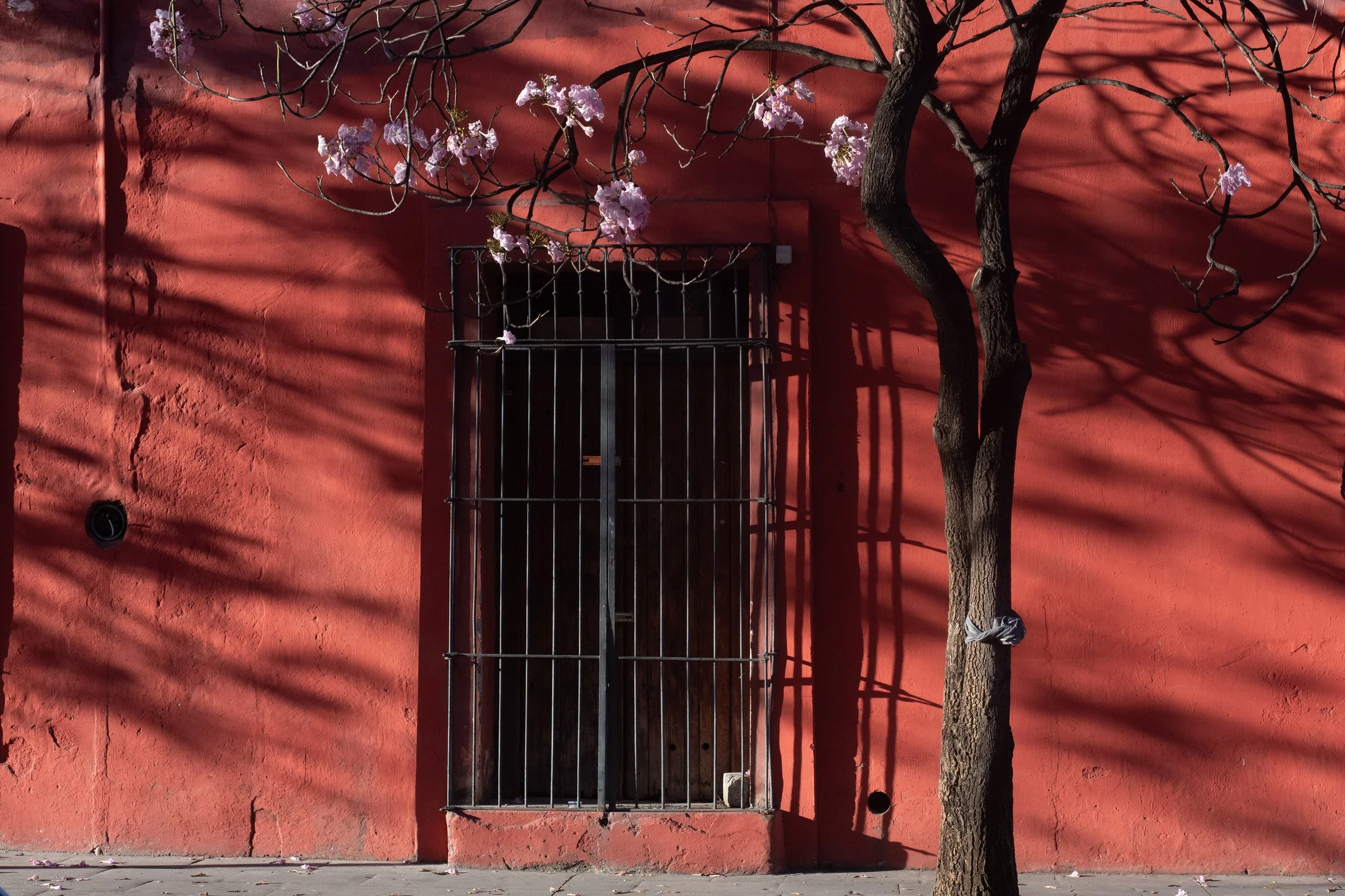 Oaxaca-35.jpg
