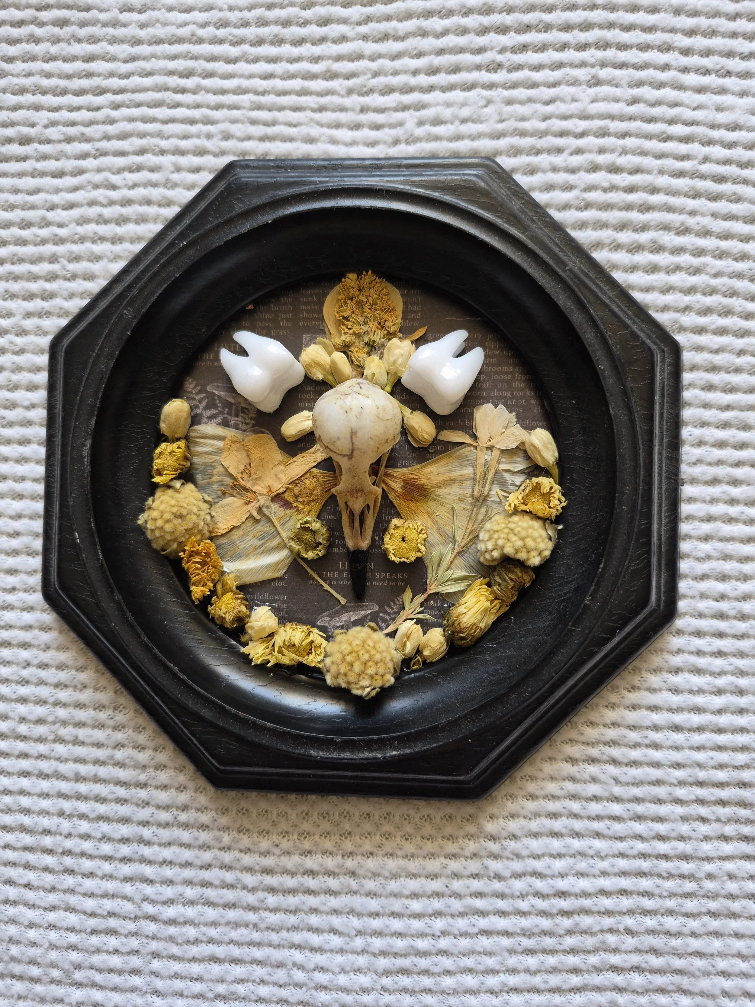 Bird and Flower Frame