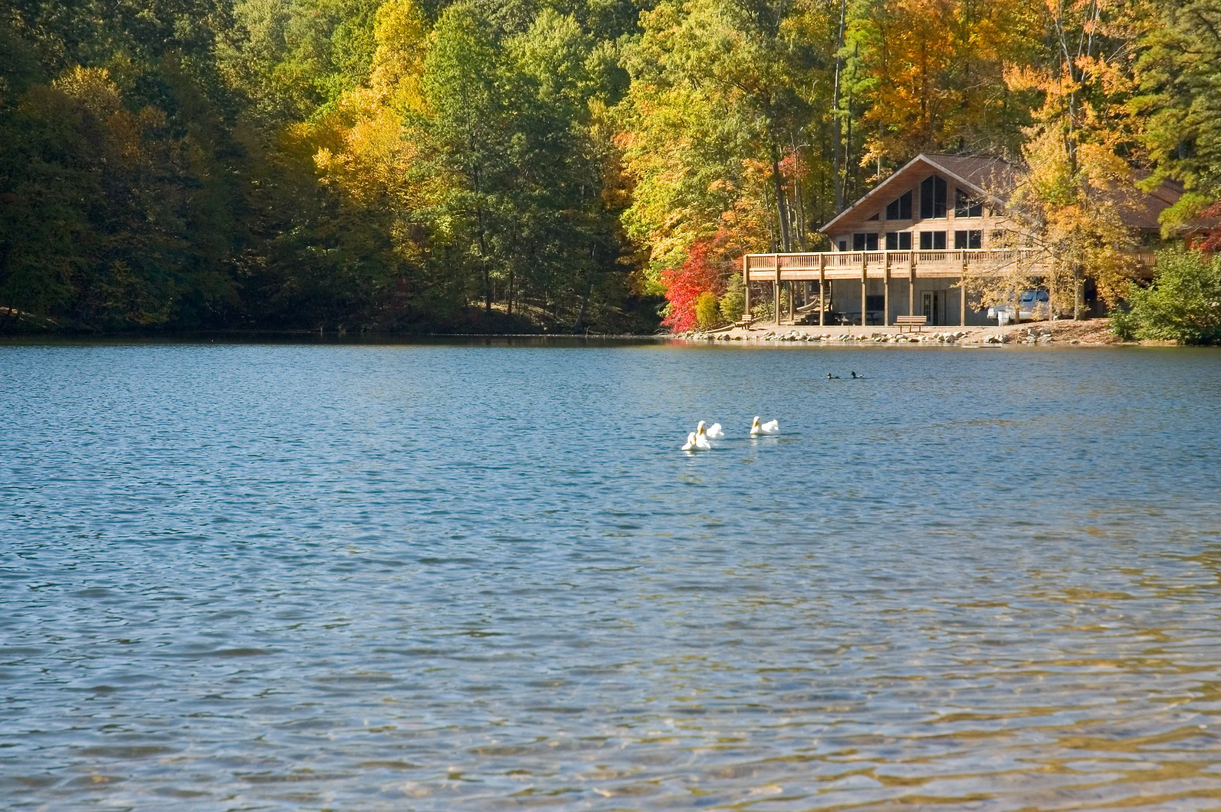 A cabin with a large deck overlooking a lake surrounded by trees with autumn foliage.