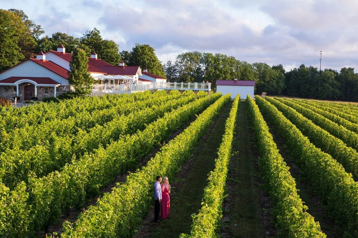 A couple dressed in formal attire standing in a vineyard on a sunny day with a large house or winery in the background and rows of green grapevines.