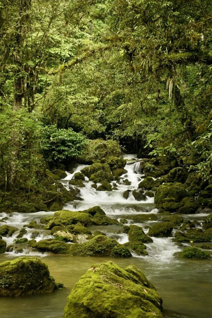 Photo.Guademala.Landscape.2.JPG