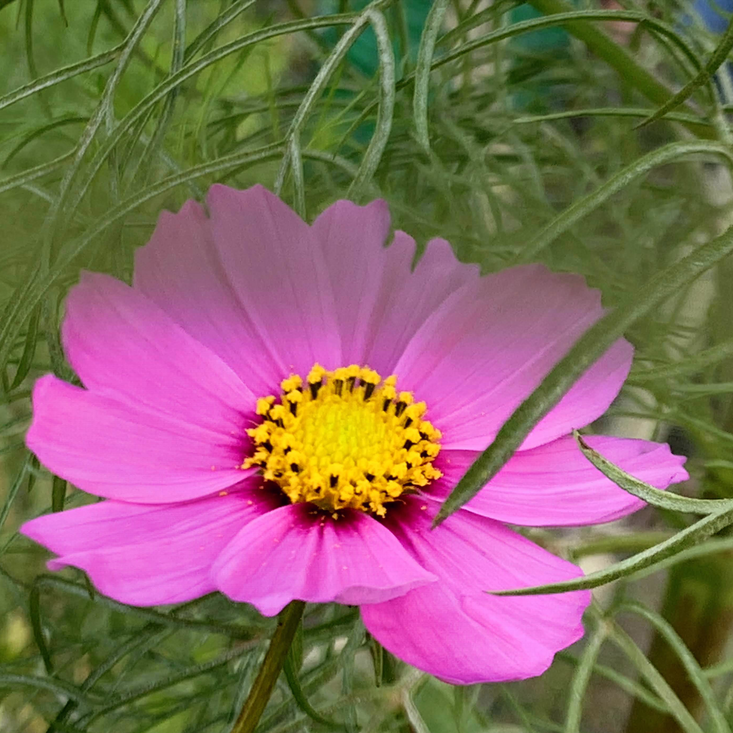 Photo.Guademala.Nature.11.PNG