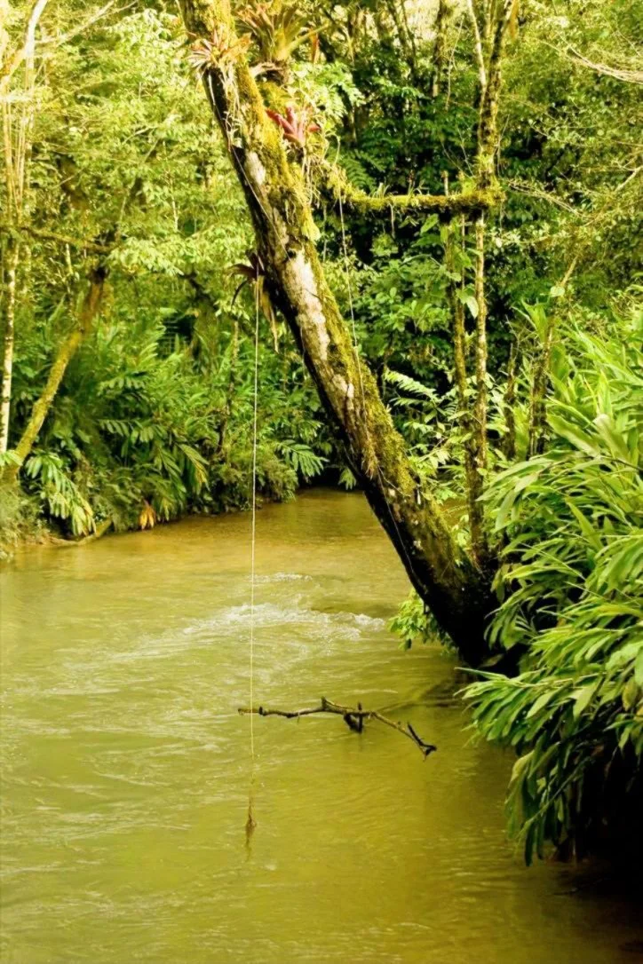 Photo.Guademala.Landscape.5.JPG