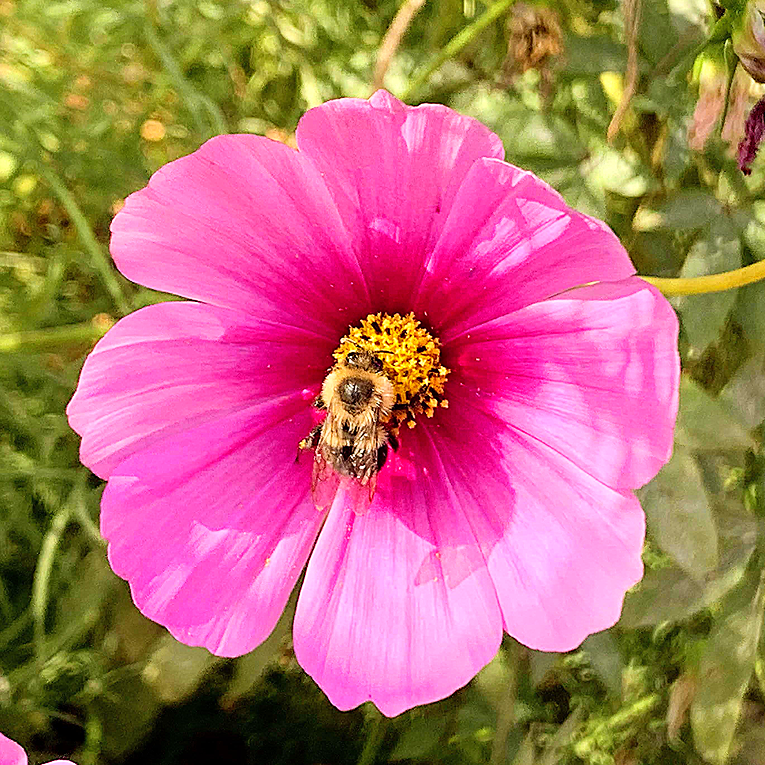 Photo.Guademala.Nature.12 (1).PNG