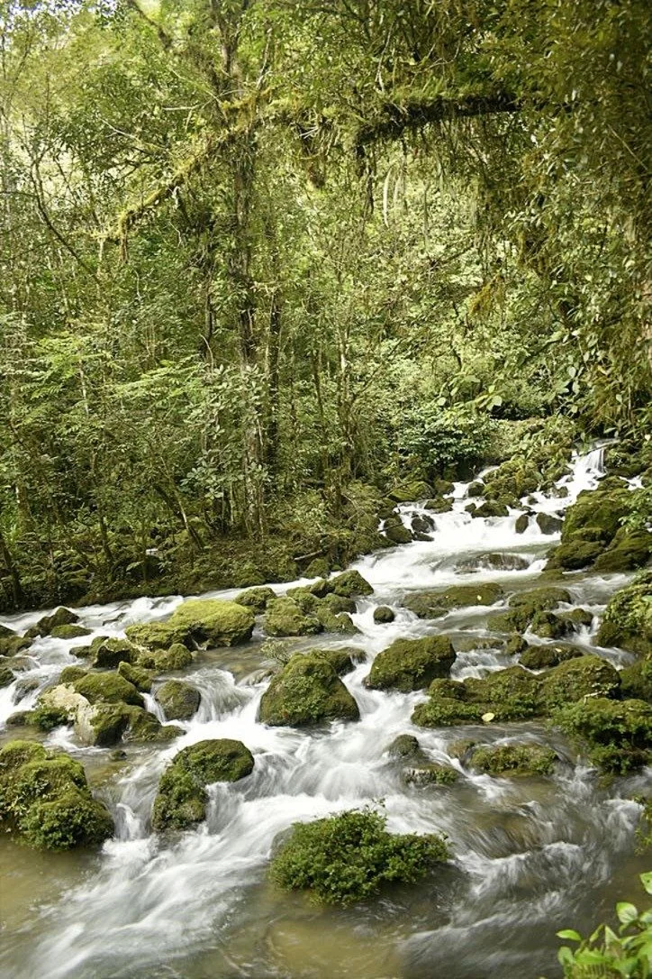 Photo.Guademala.Cave.4.JPG