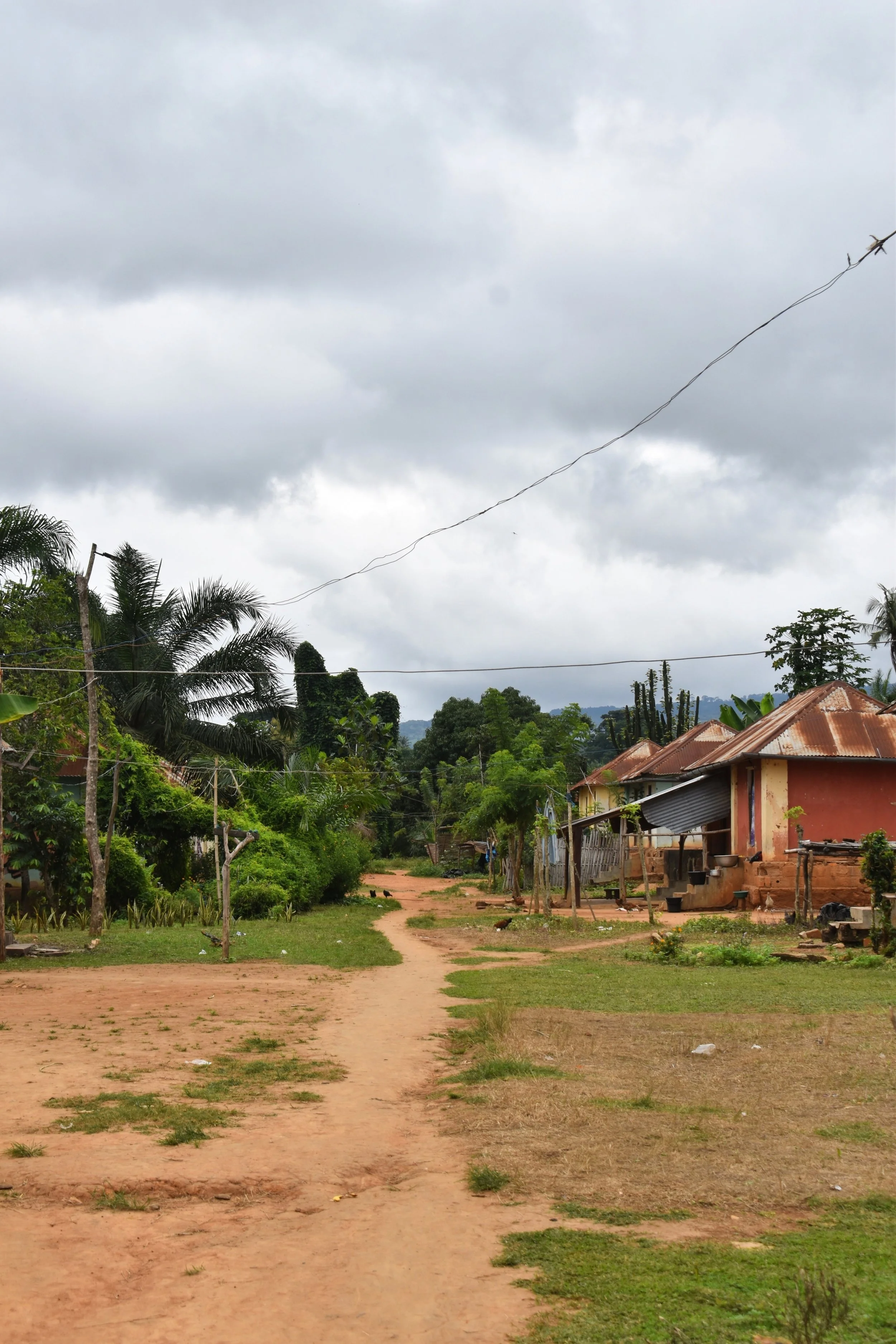 A rural village scene with dirt roads, small houses with corrugated metal roofs, green trees, and overcast sky.
