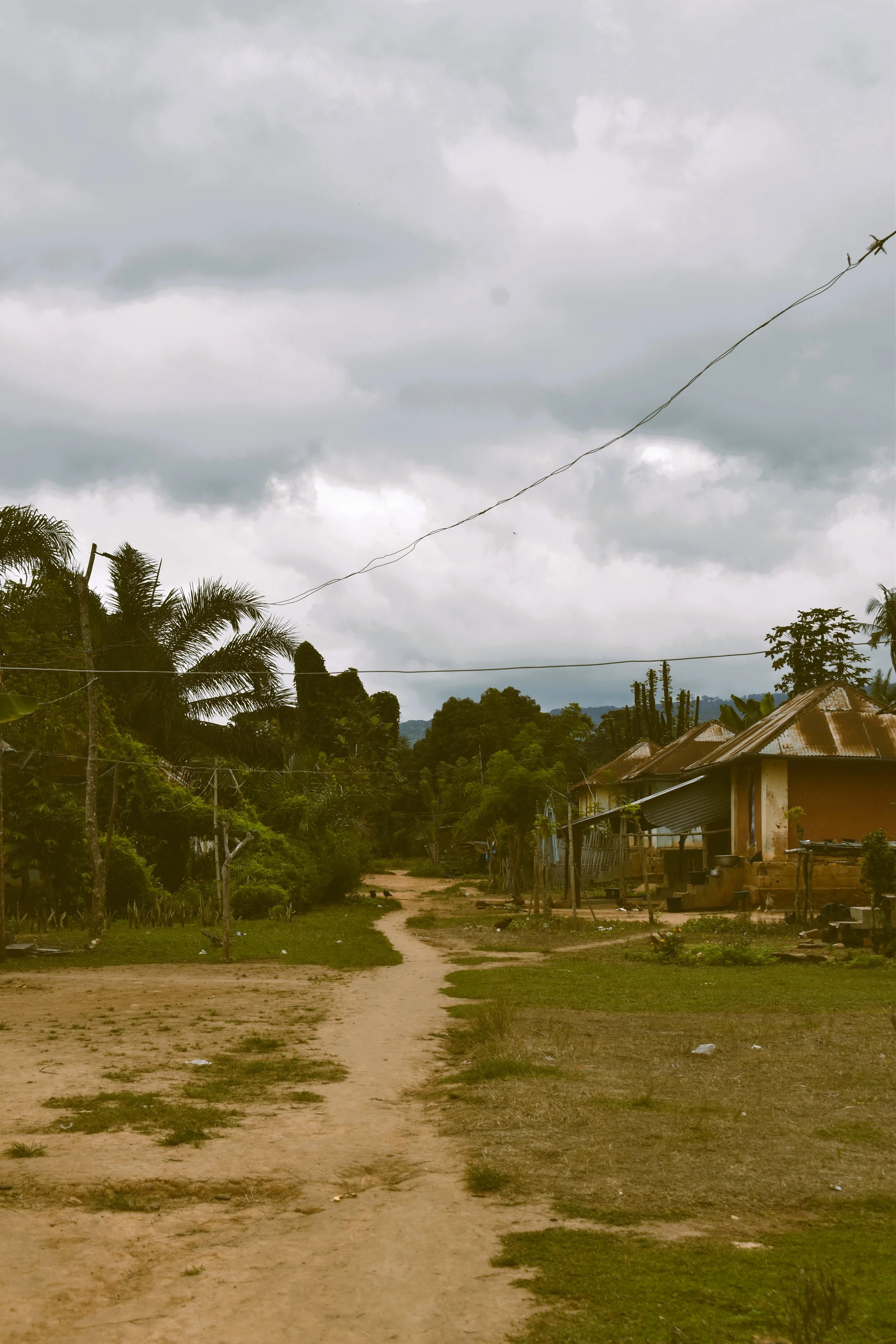 A rural village scene with a dirt road, houses with metal roofs, trees, and cloudy sky.