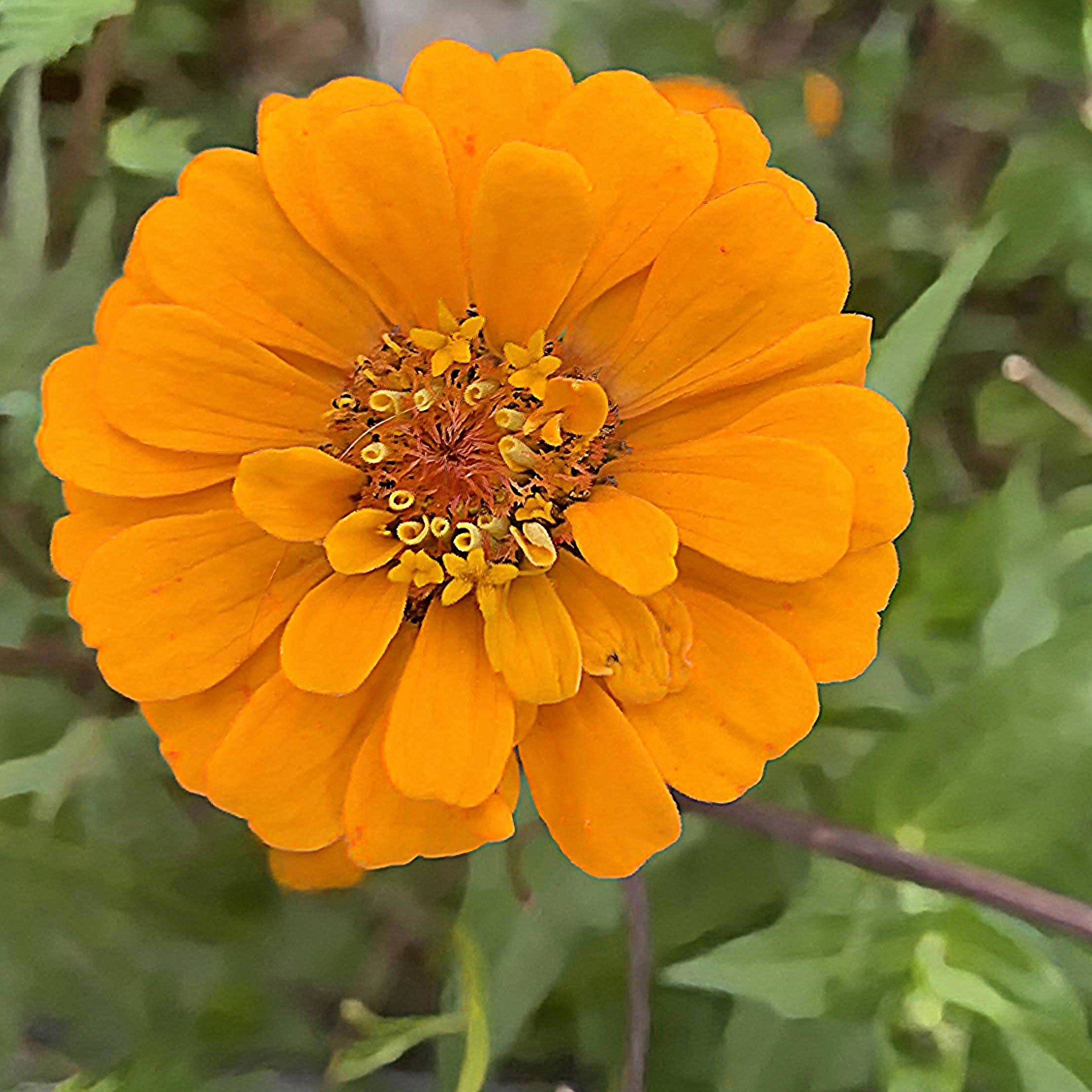 Photo.Guademala.Nature.6.JPG