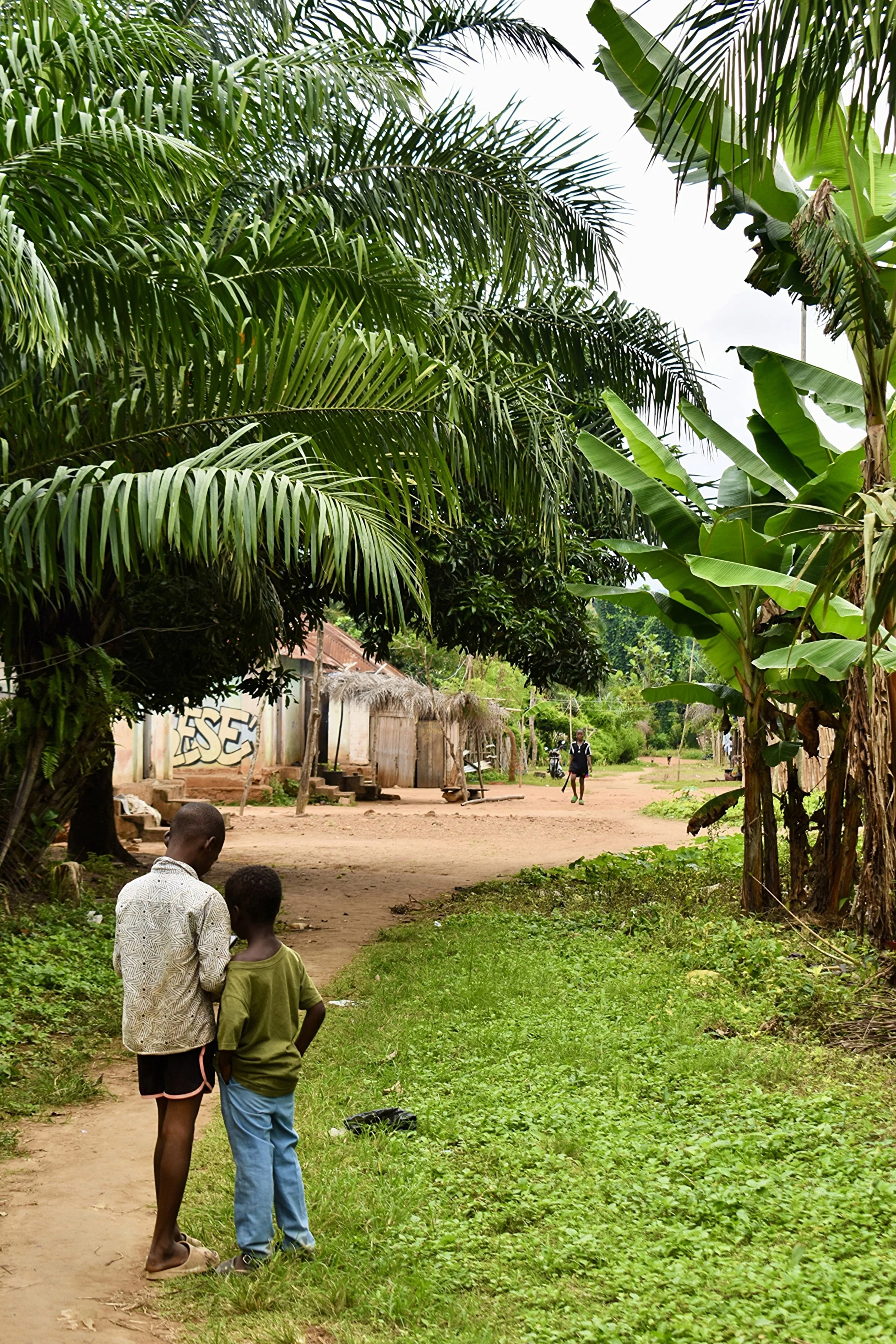 Two children walking on a dirt path in a rural village, surrounded by lush green banana and palm trees, with small houses and people in the background.