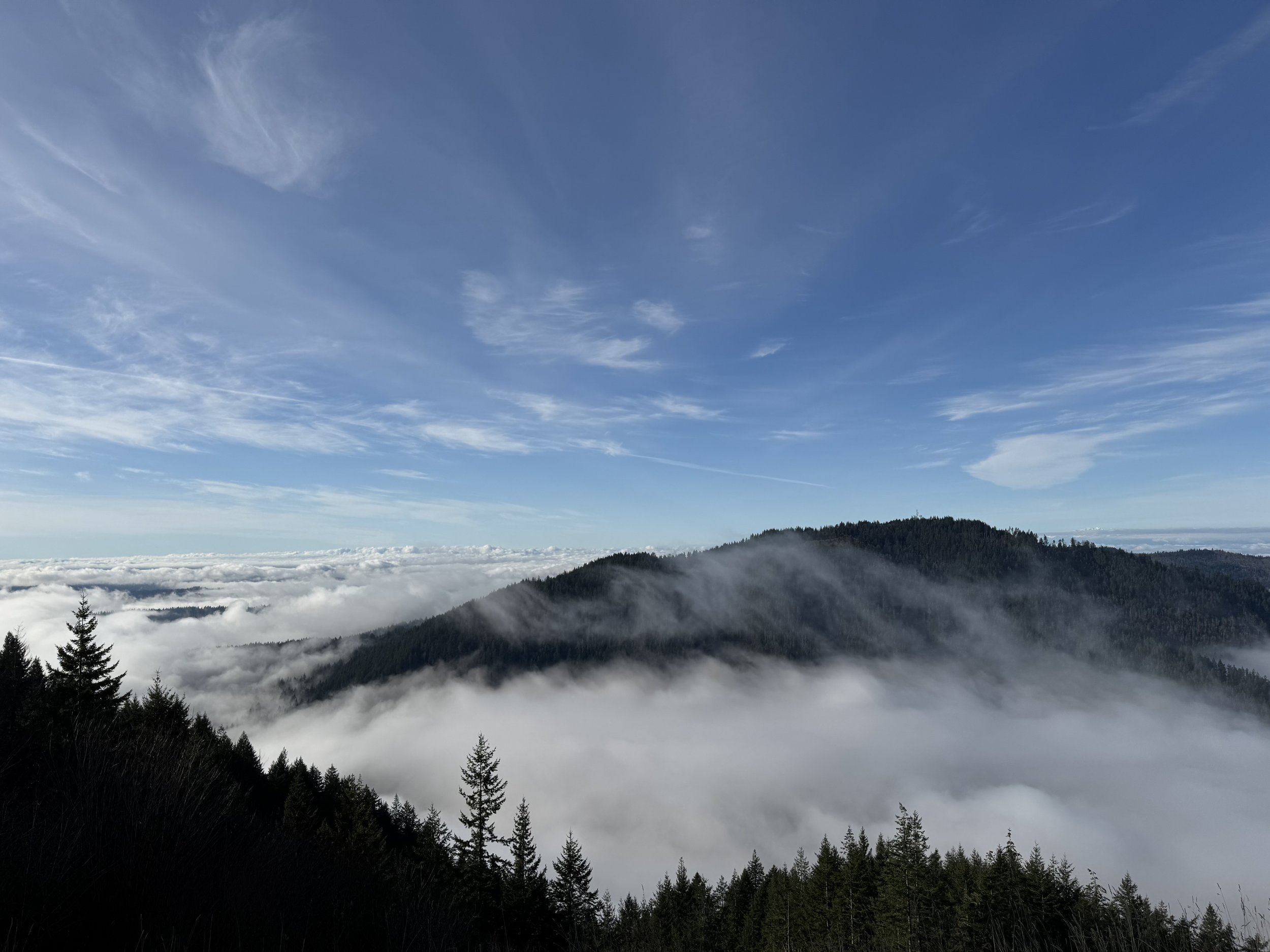View of mountain landscape with forested hills, clouds below, and a blue sky with wispy clouds above.