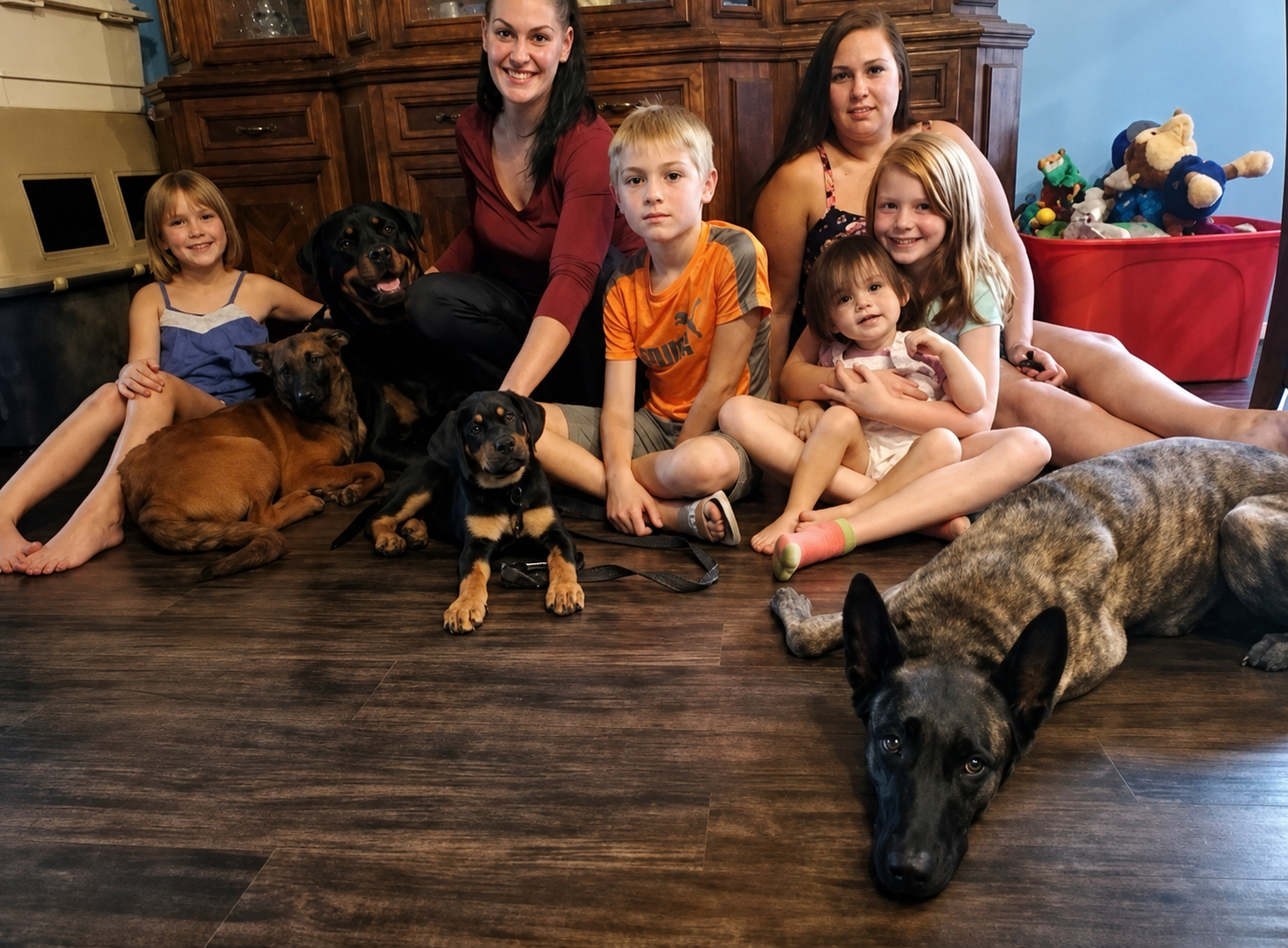 A group of seven people, including children and women, sitting on a hardwood floor with five dogs, in a home environment. In the background, there is a wooden cabinet and a large red container filled with stuffed animals.