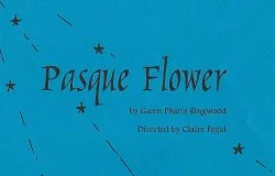 Pasque Flower