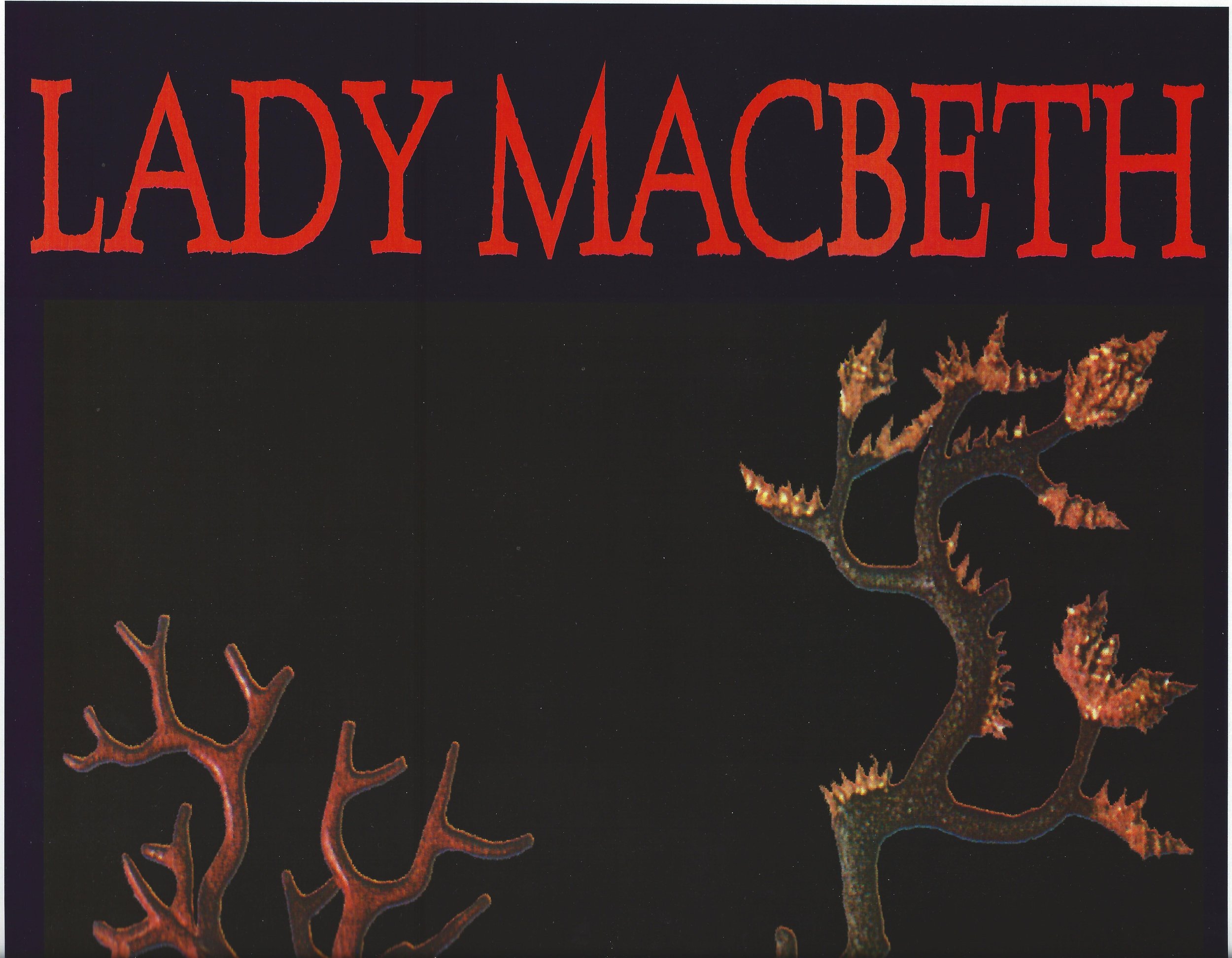 Lady M 1999 colour poster top.jpg