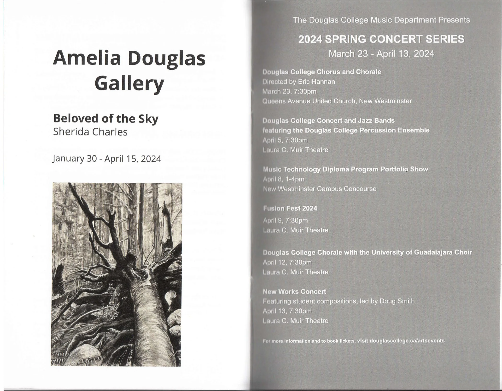 the whole shebang brochure 12.jpg
