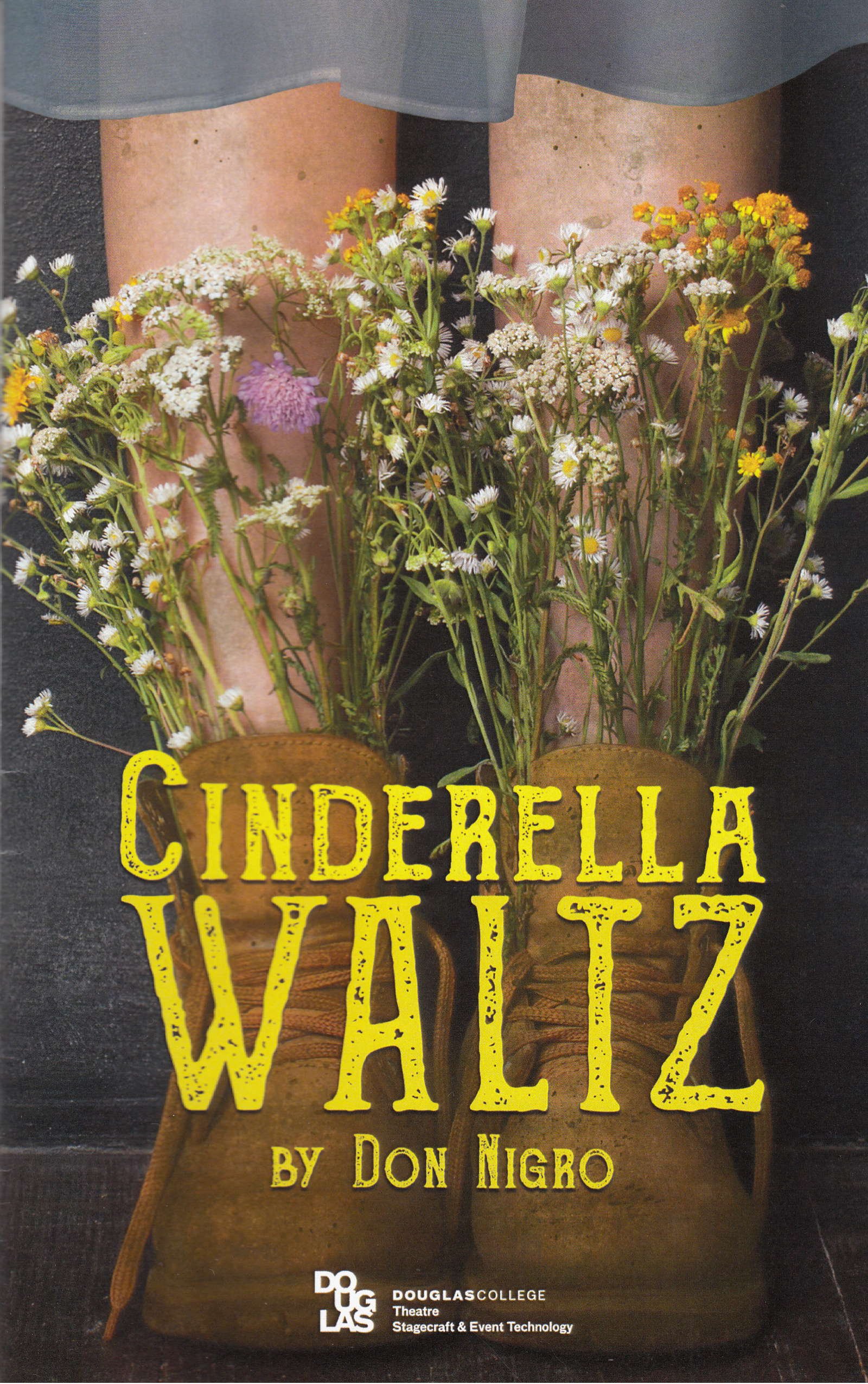 Cinderella waltz brochure 1.jpg