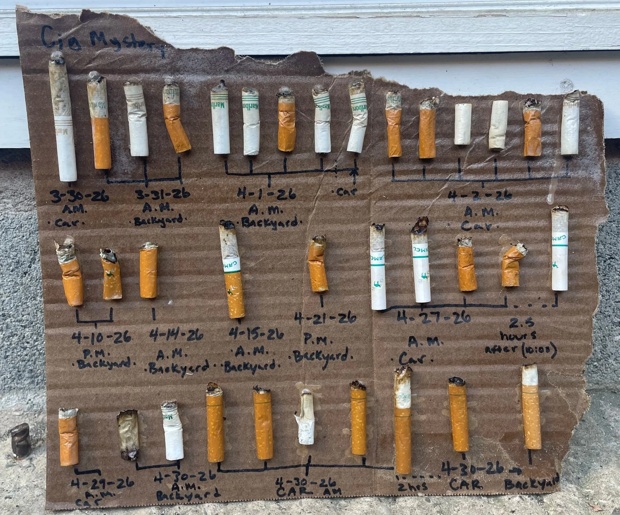 Cig Butts Keep Falling On My Head