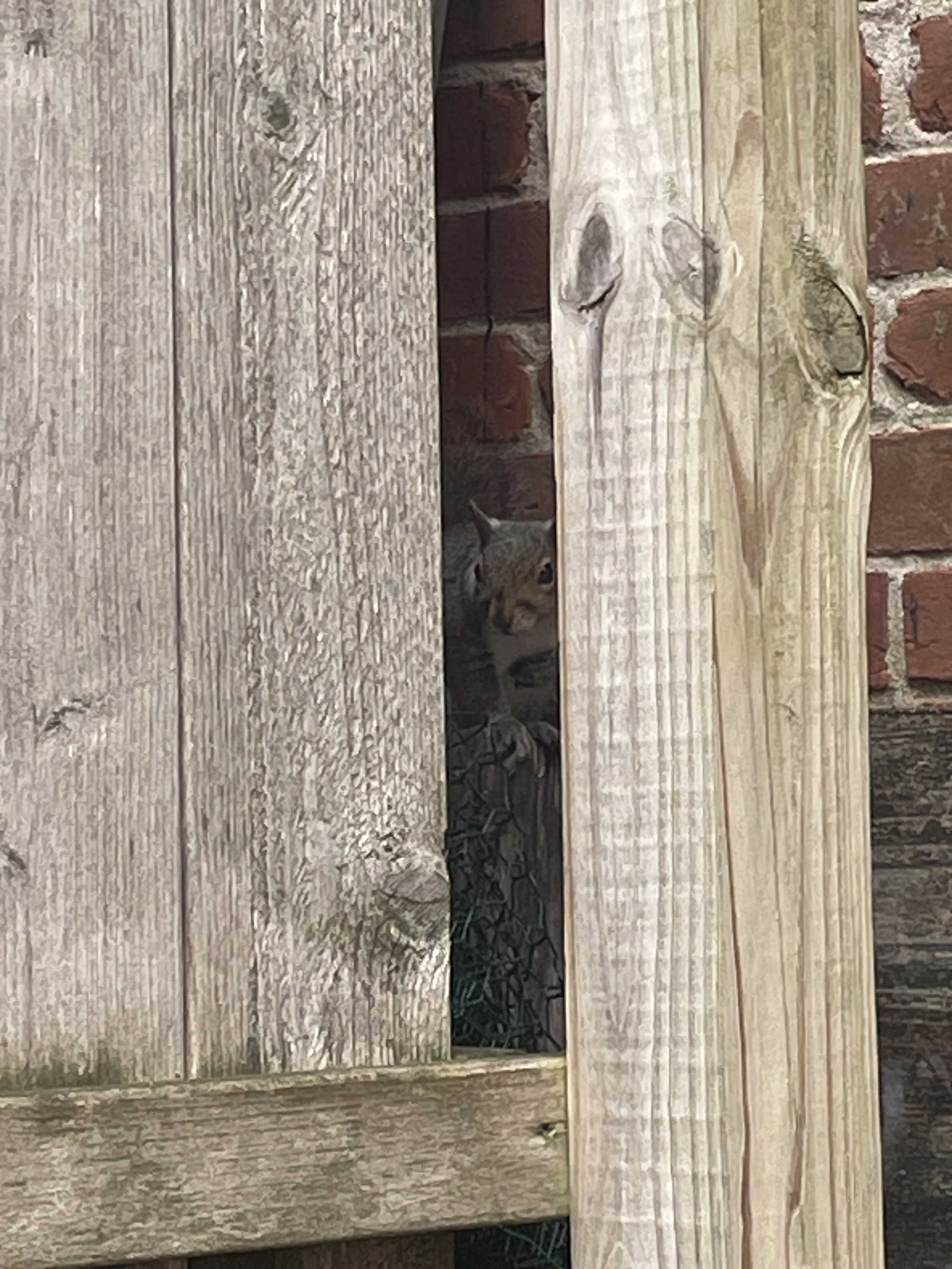 IMG_0942.jpeg