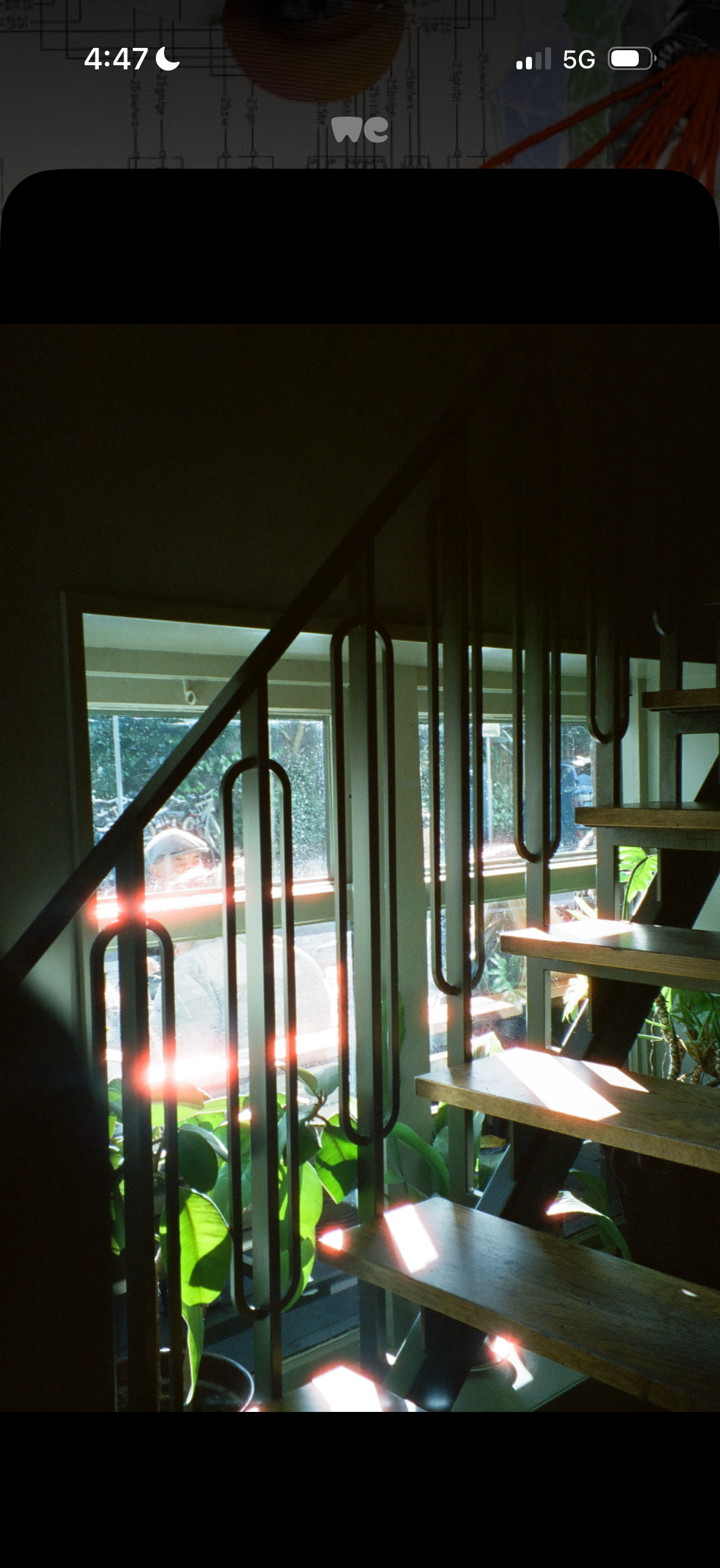 IMG_5588.PNG