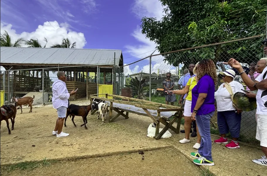  Jamaica Culinary Tours group interacting with farm goats on the Roots &amp; Routes agricultural farm-to-table food tour. 