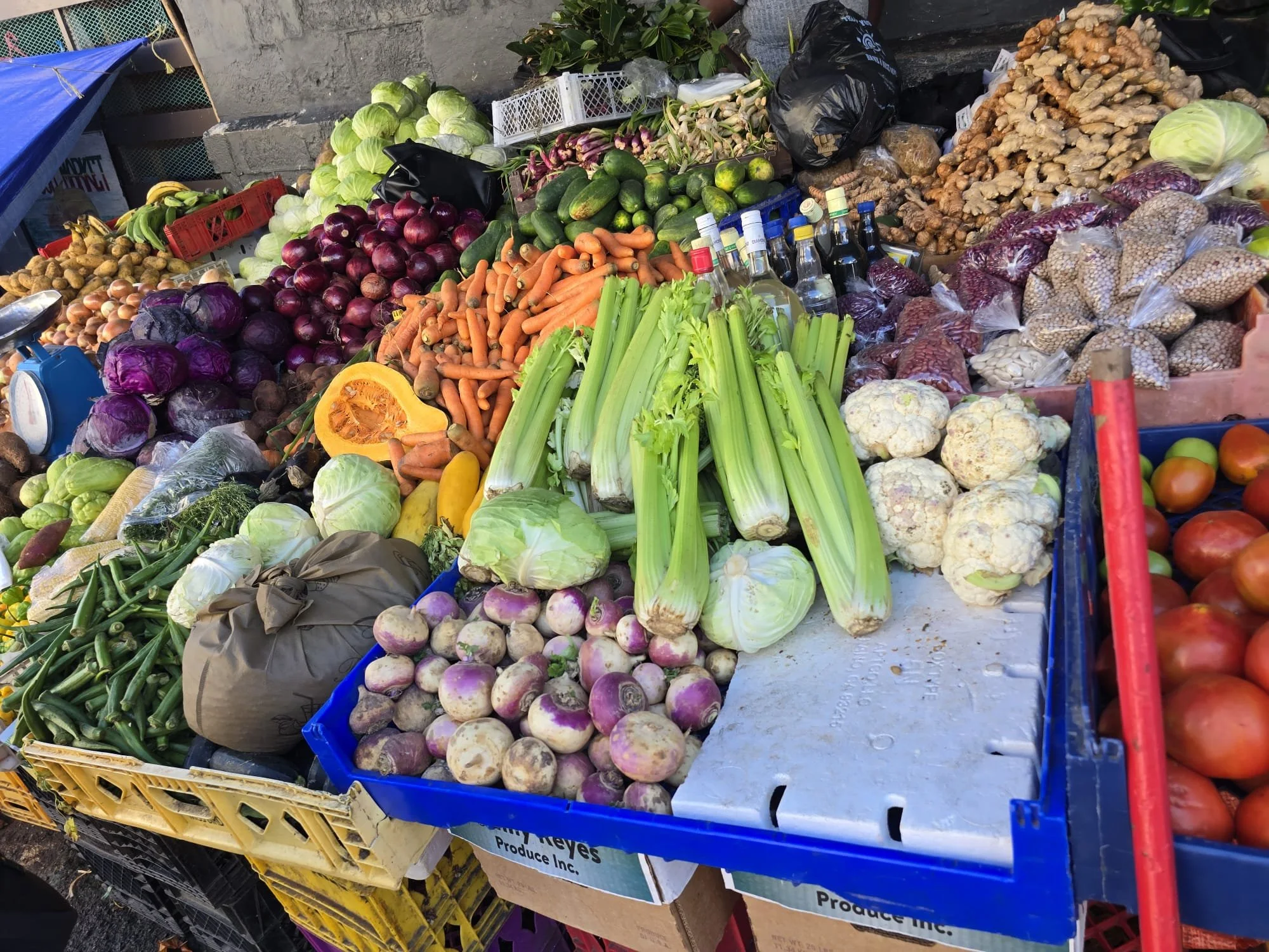 Colorful outdoor market stall displaying fresh vegetables including carrots, celery, cauliflower, turnips, cabbage, and tomatoes.